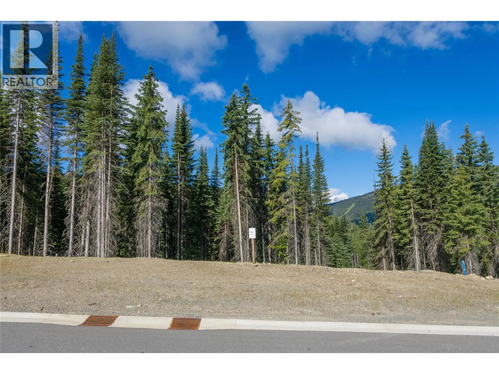 LOT 11 MCGILLIVRAY LAKE Drive