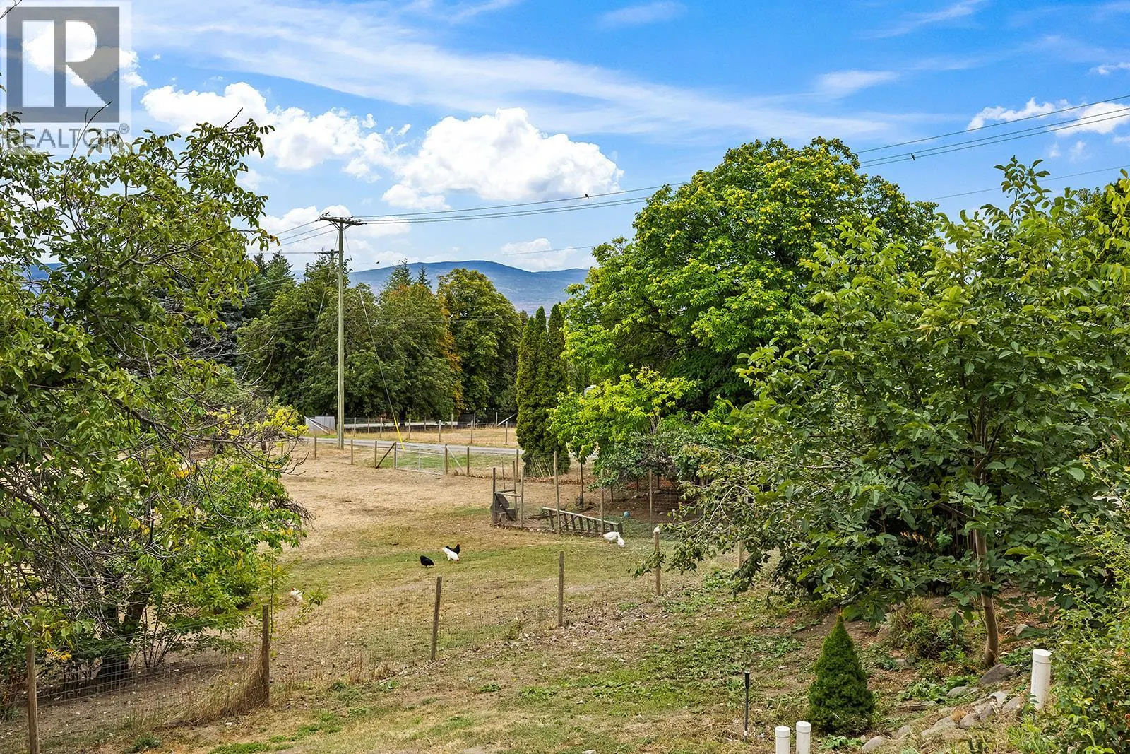 3490 Paynter Road