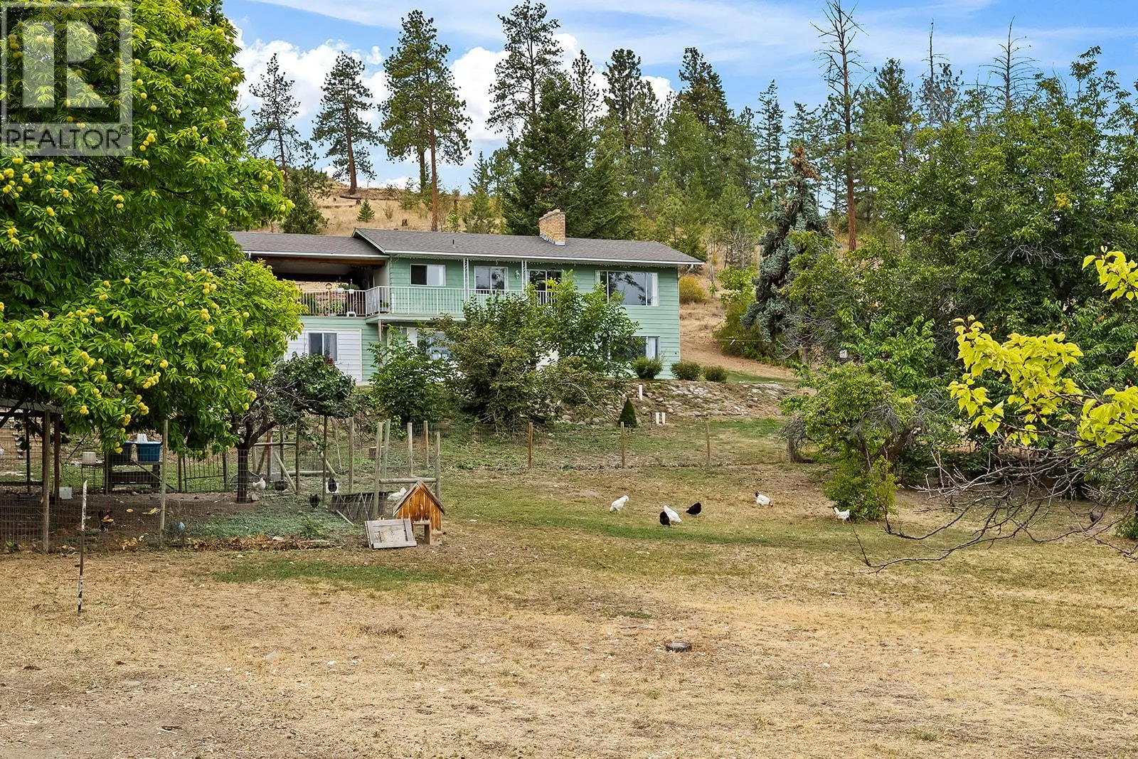 3490 Paynter Road