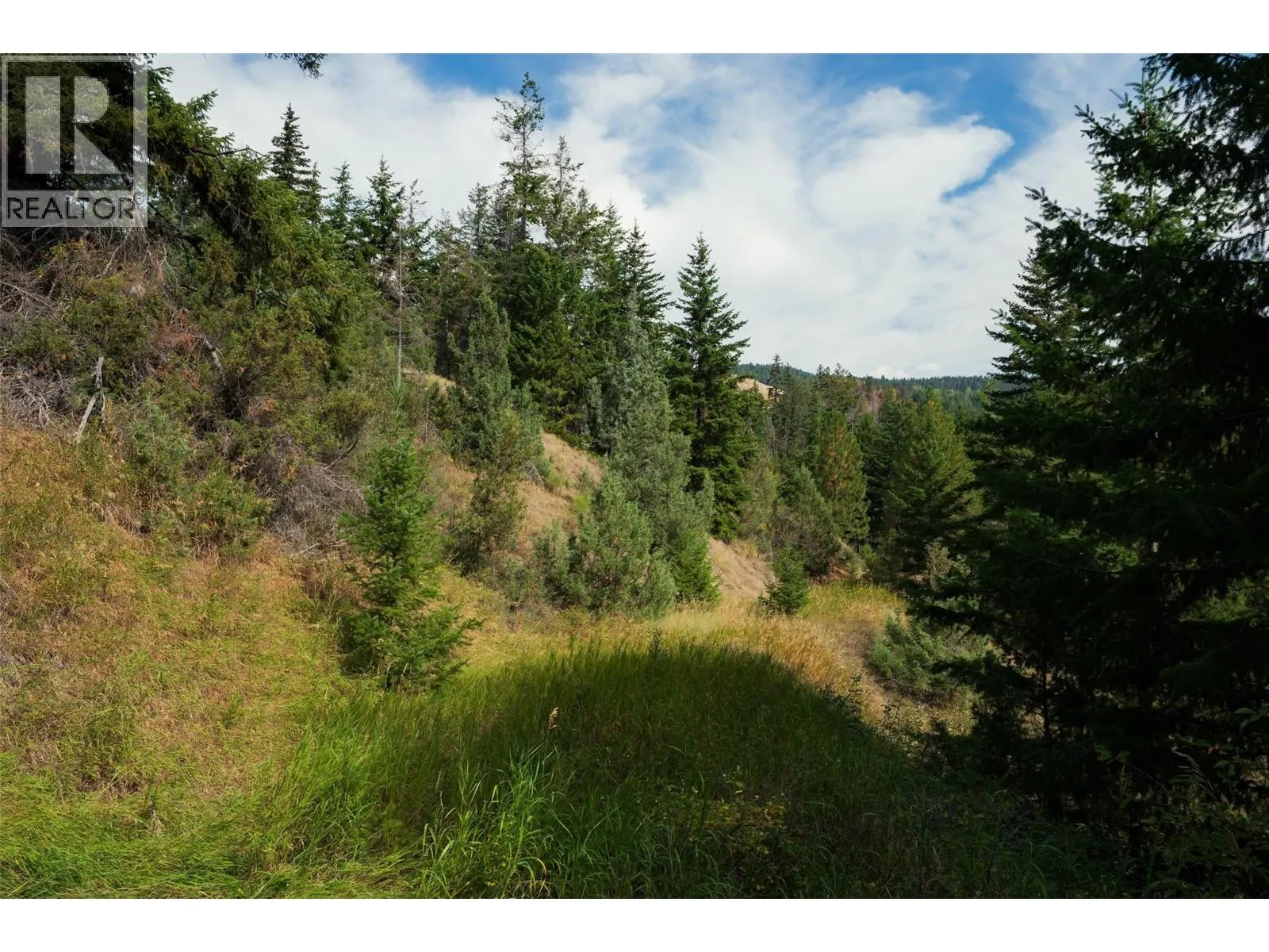 Lot 1 Hwy 33 Highway E