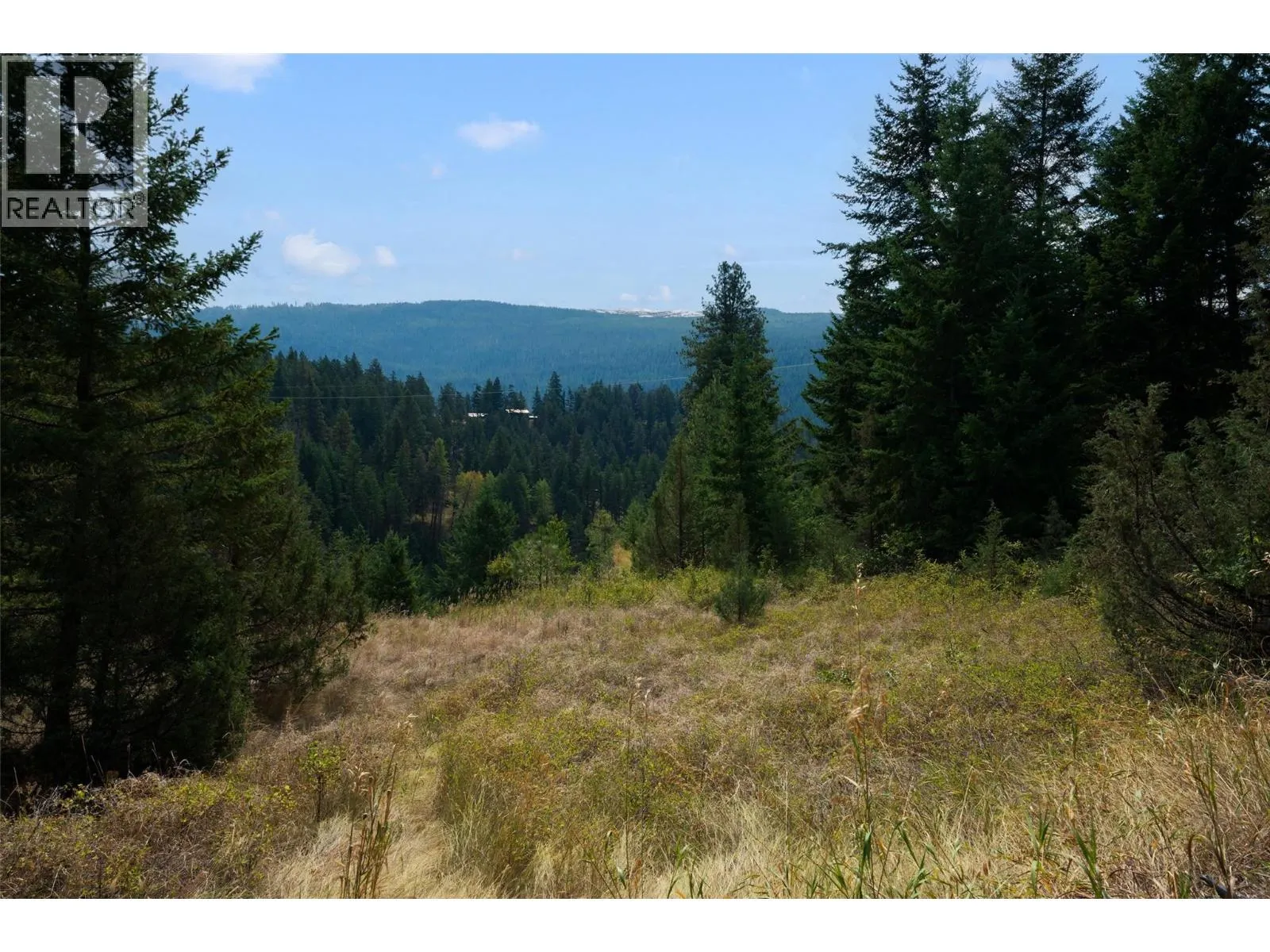 Lot 1 Hwy 33 Highway E