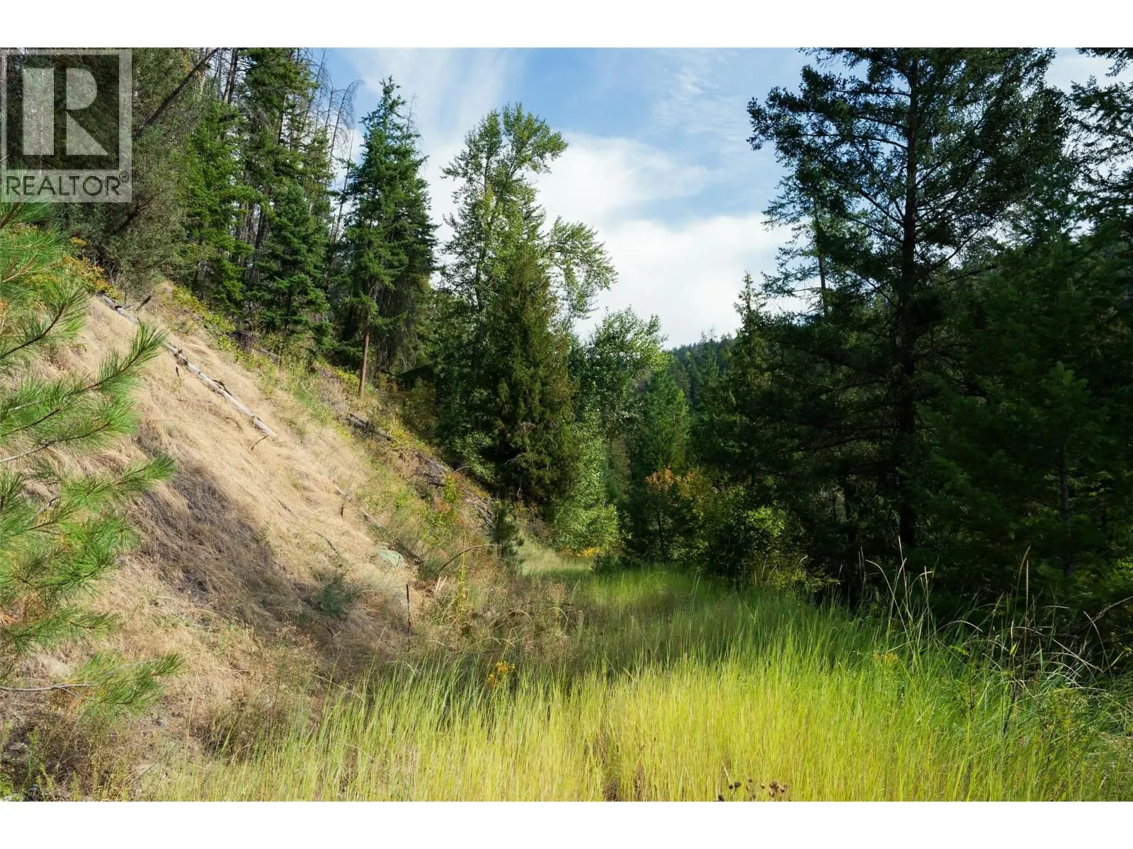 Lot 1 Hwy 33 Highway E