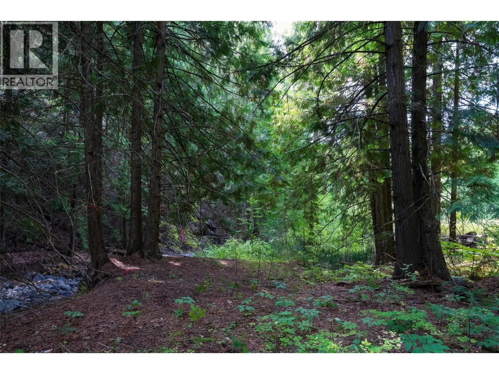 Lot 1 Hwy 33 Highway E