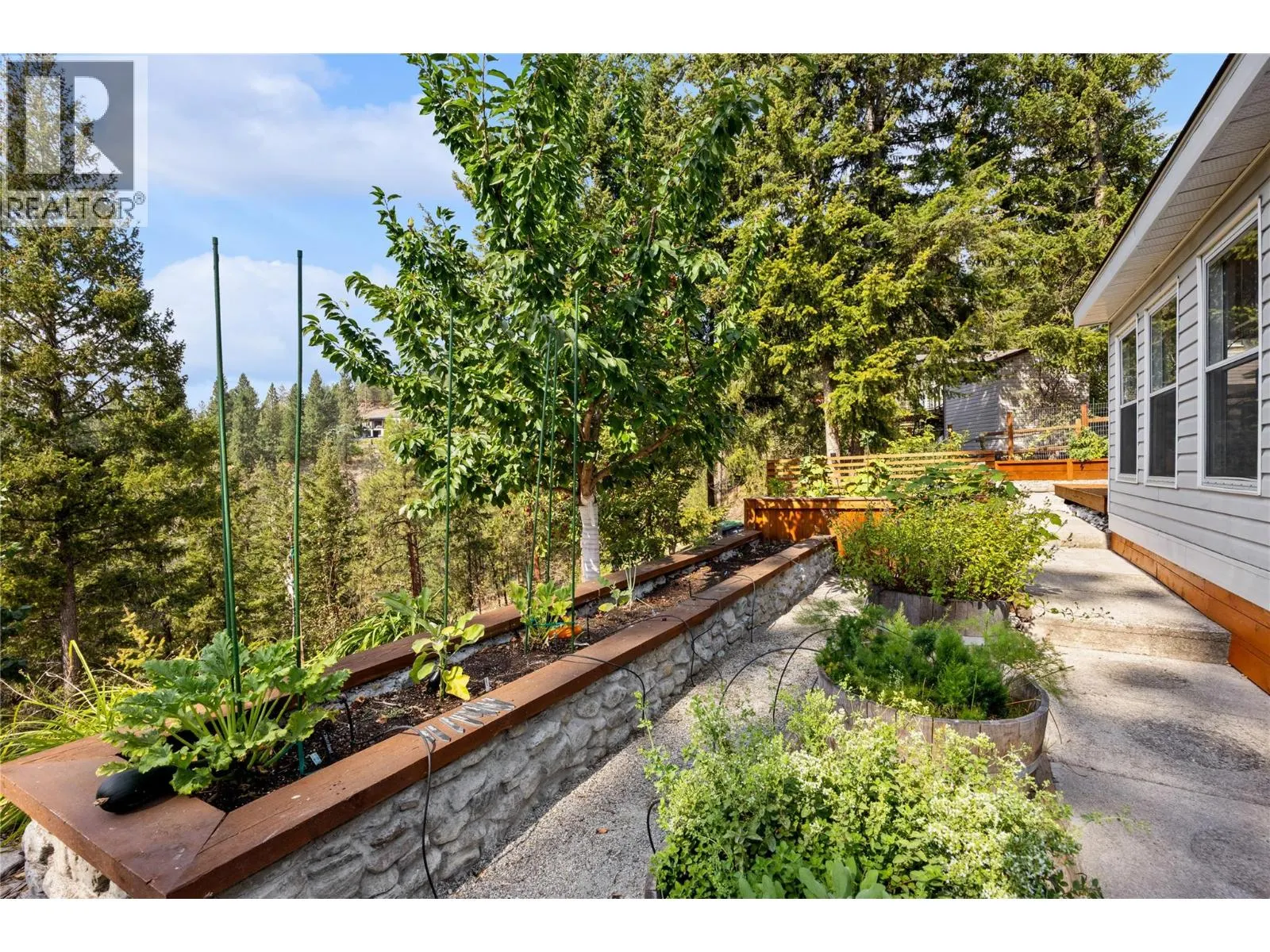 3115 JUNIPER Drive