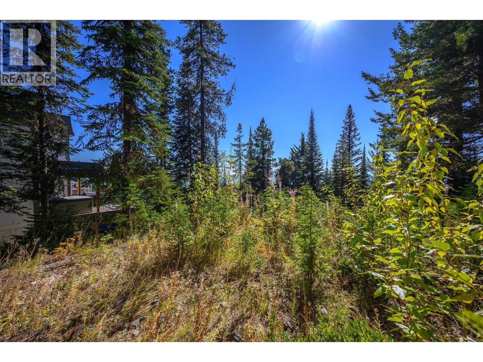 720 Monashee Court