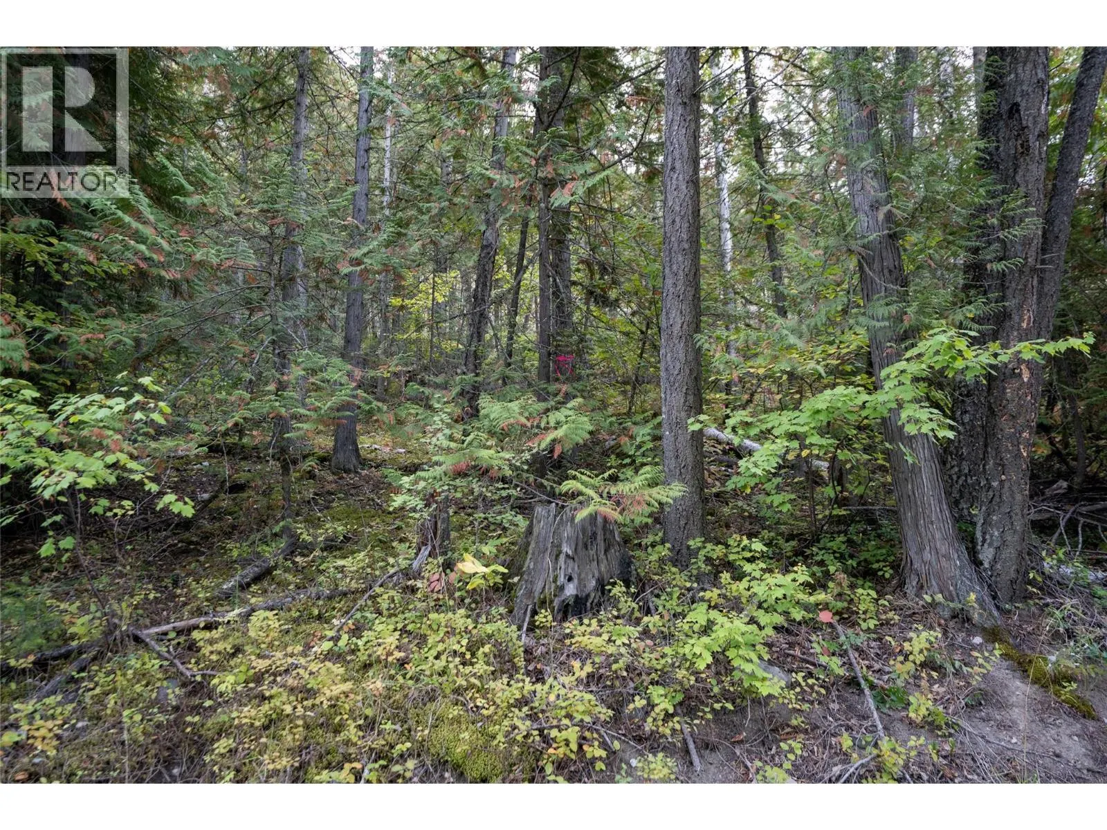 1937 Lumby Mabel Lake Road