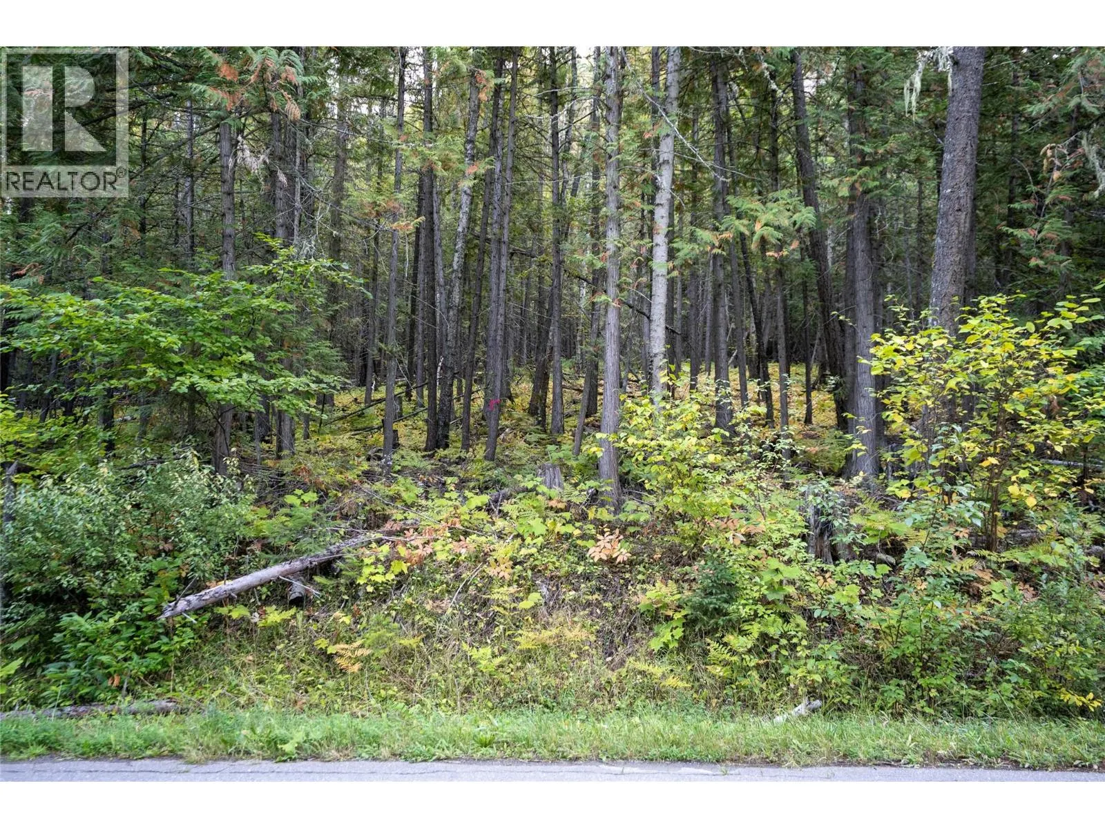 1937 Lumby Mabel Lake Road