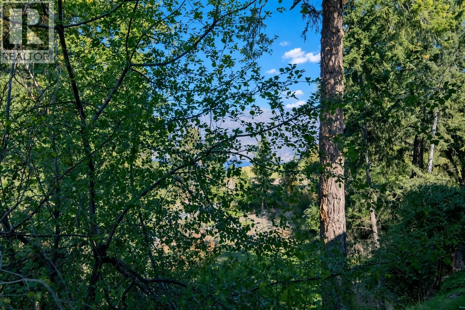 144 Sumac Ridge Drive Unit# 5