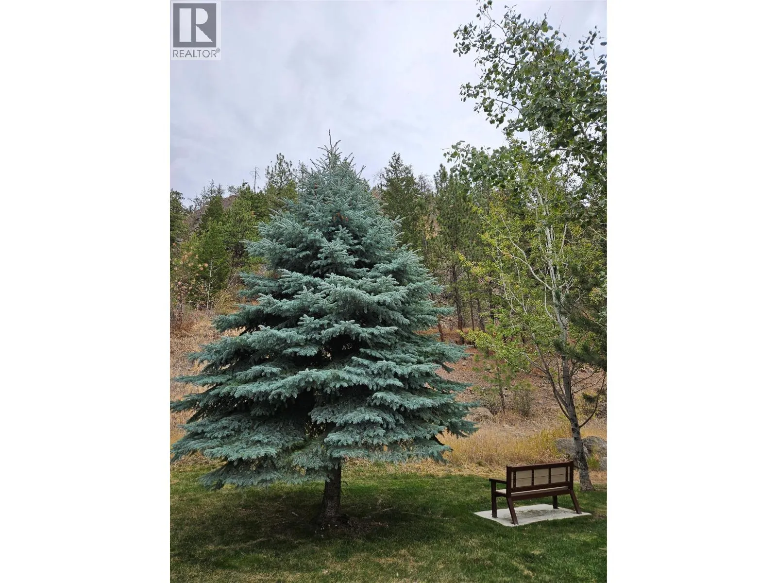 2780 Auburn Road Unit# 203