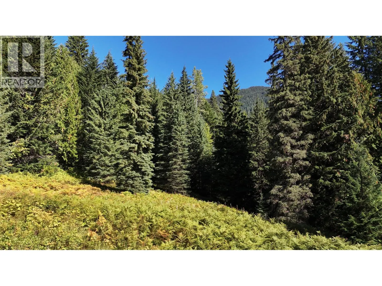 1645 Ferguson Road Lot# Parcel A