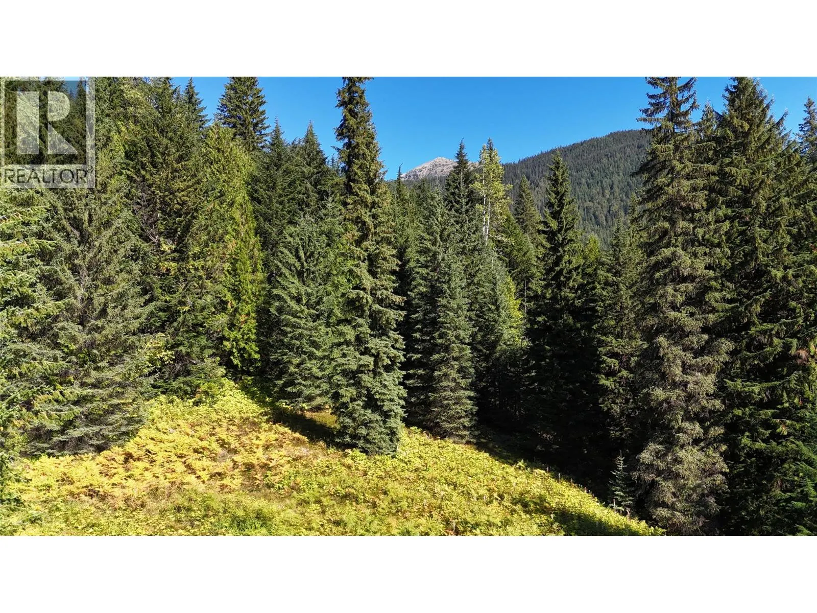 1645 Ferguson Road Lot# Parcel A