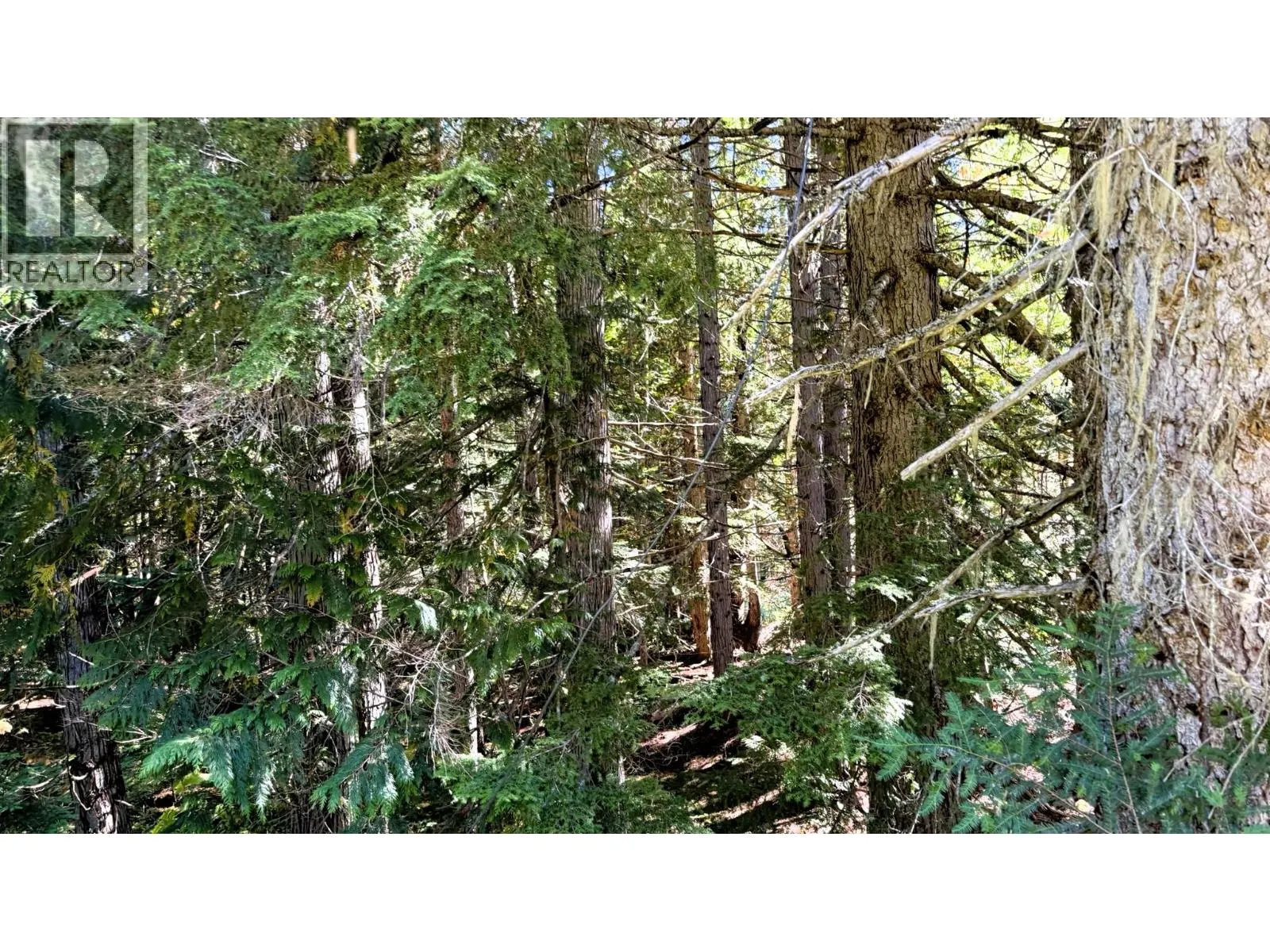 1645 Ferguson Road Lot# Parcel A