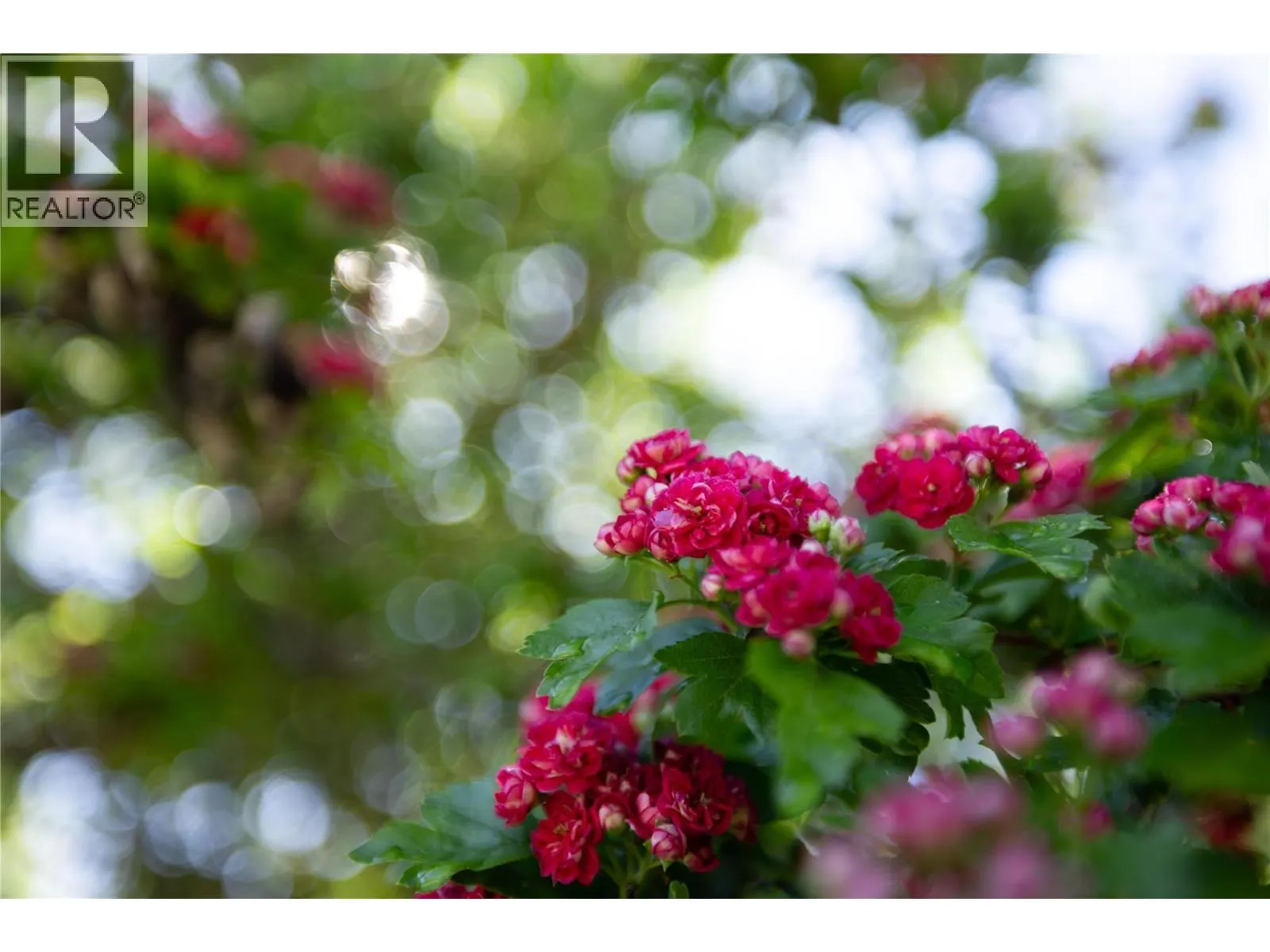 8997 Kalamalka Road Lot# 2