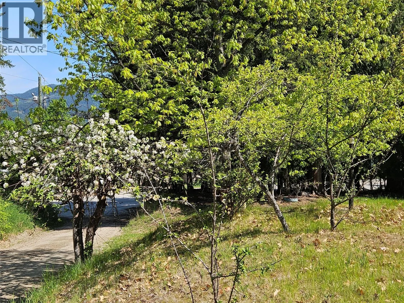 115 Lower Fauquier Road Lot# 1