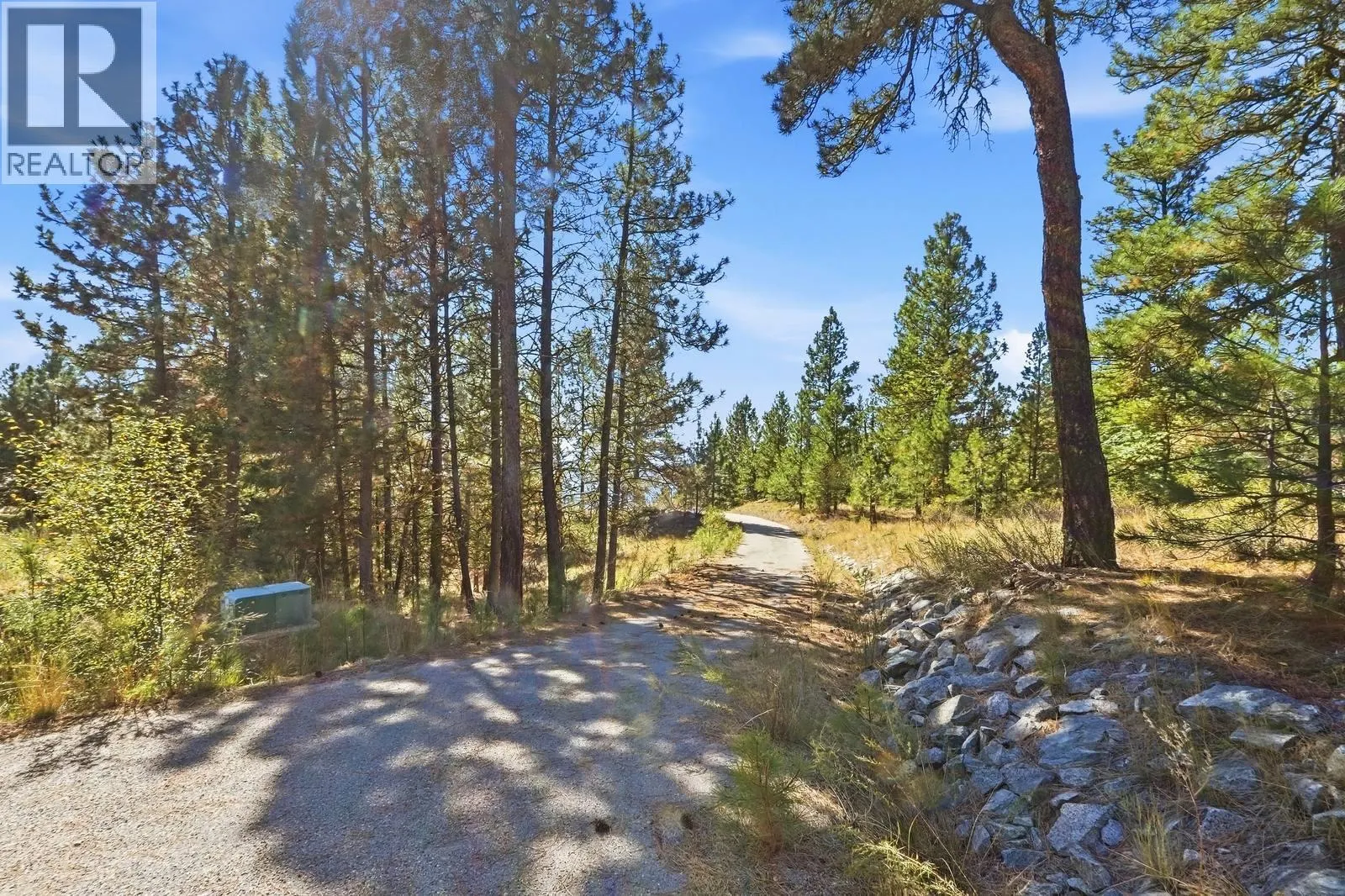 12 MULE DEER Point
