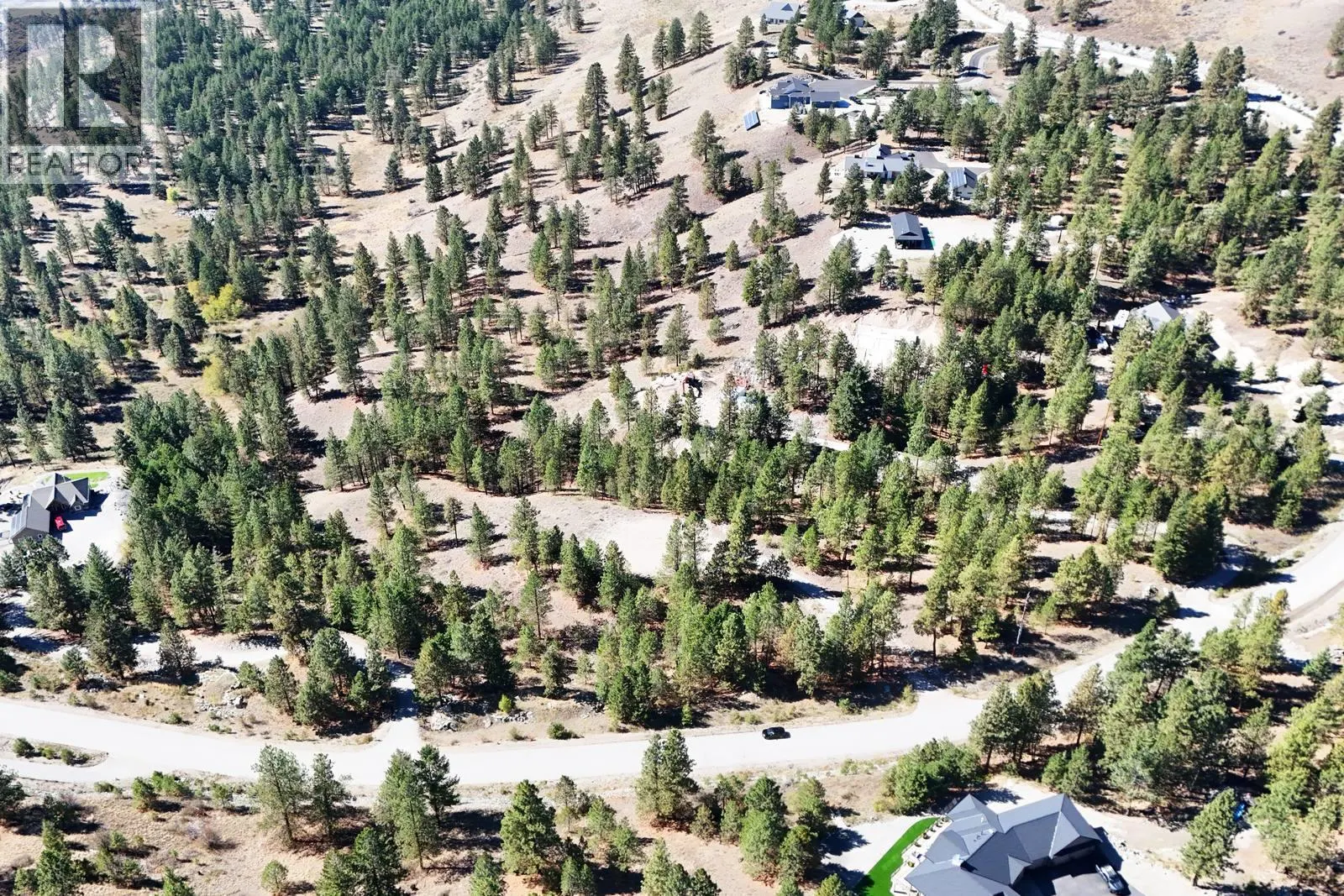 12 MULE DEER Point