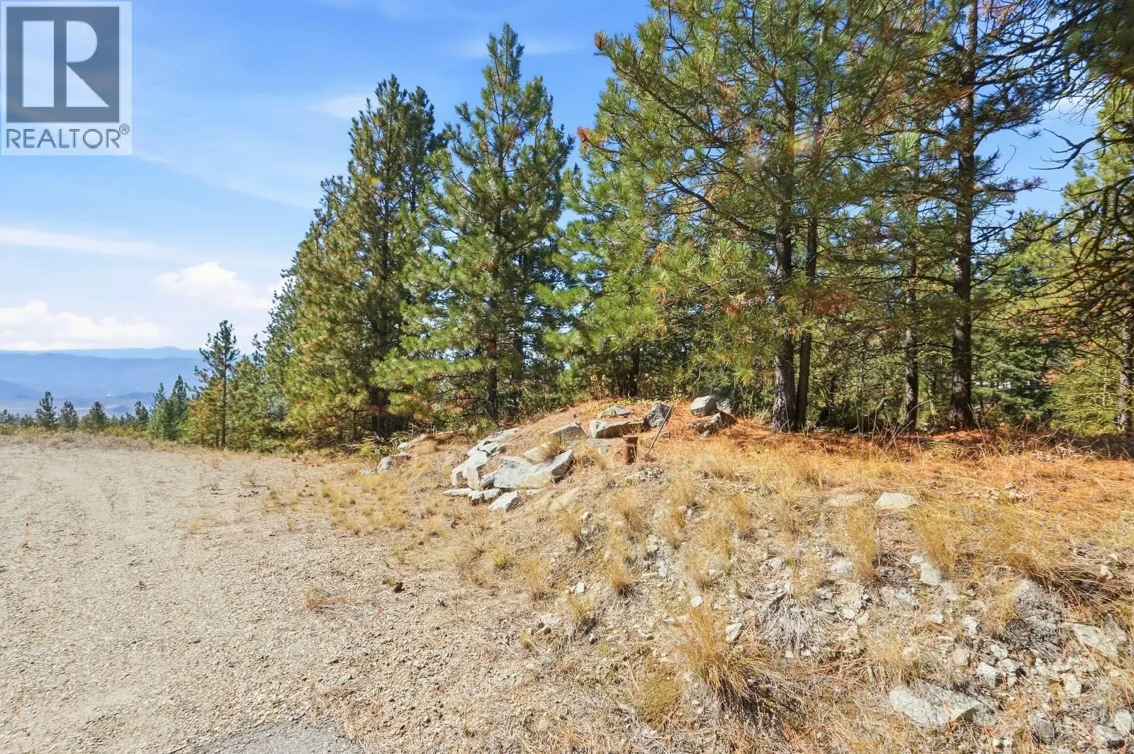 12 MULE DEER Point