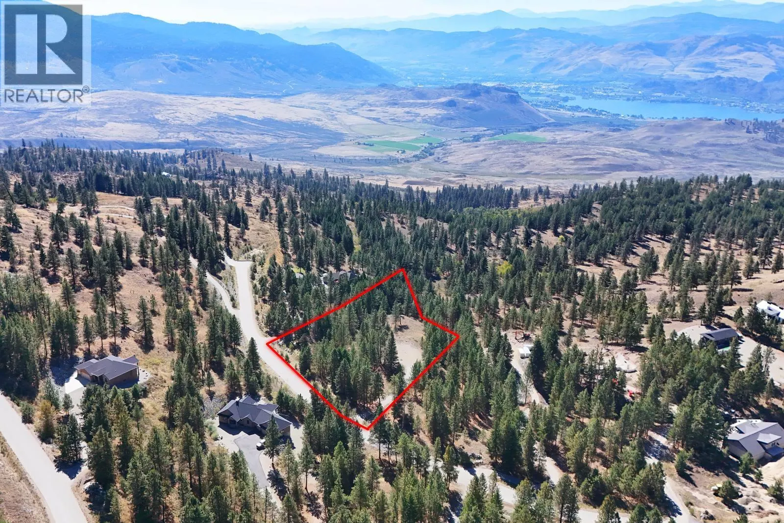 12 MULE DEER Point