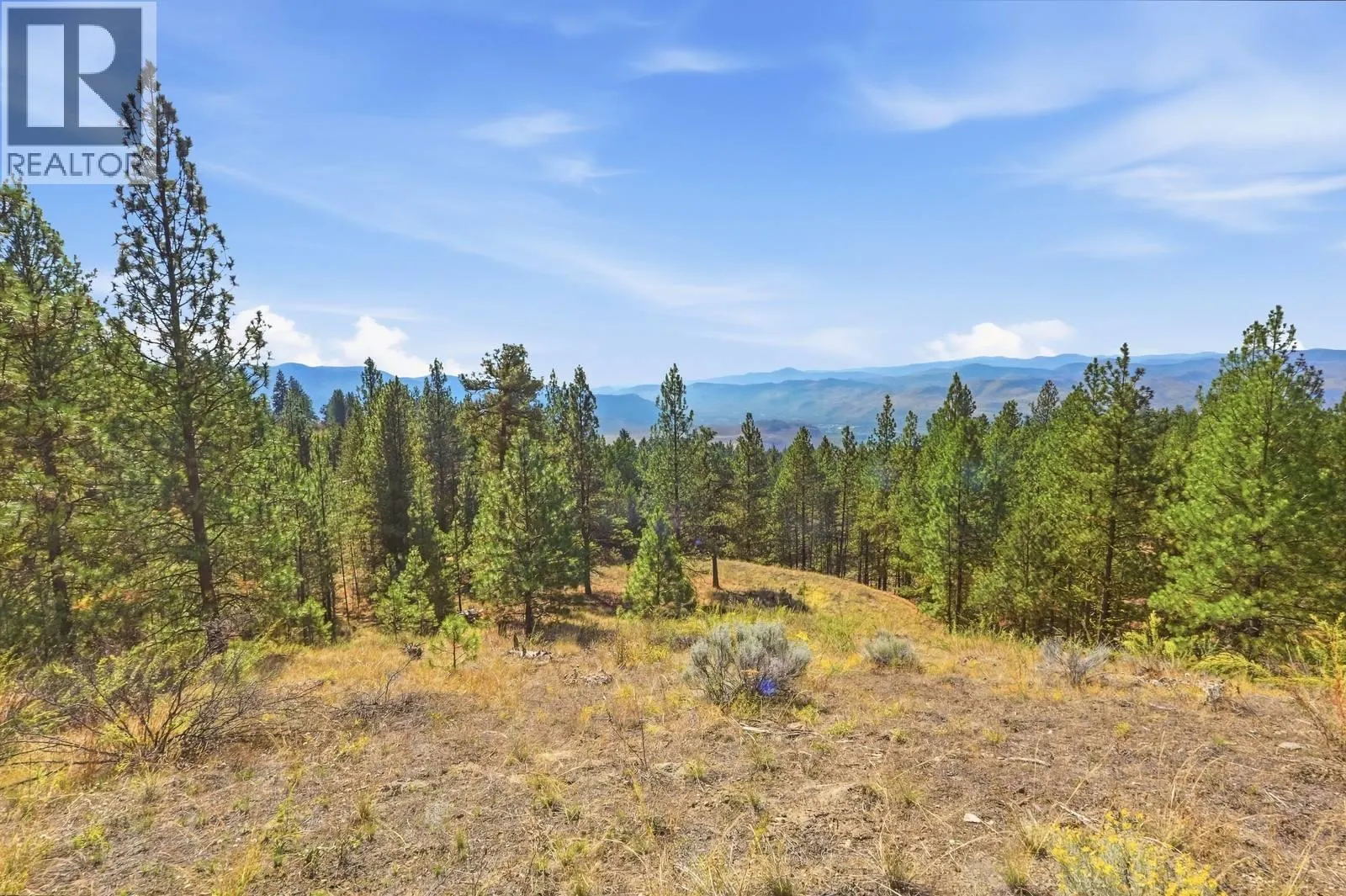 12 MULE DEER Point