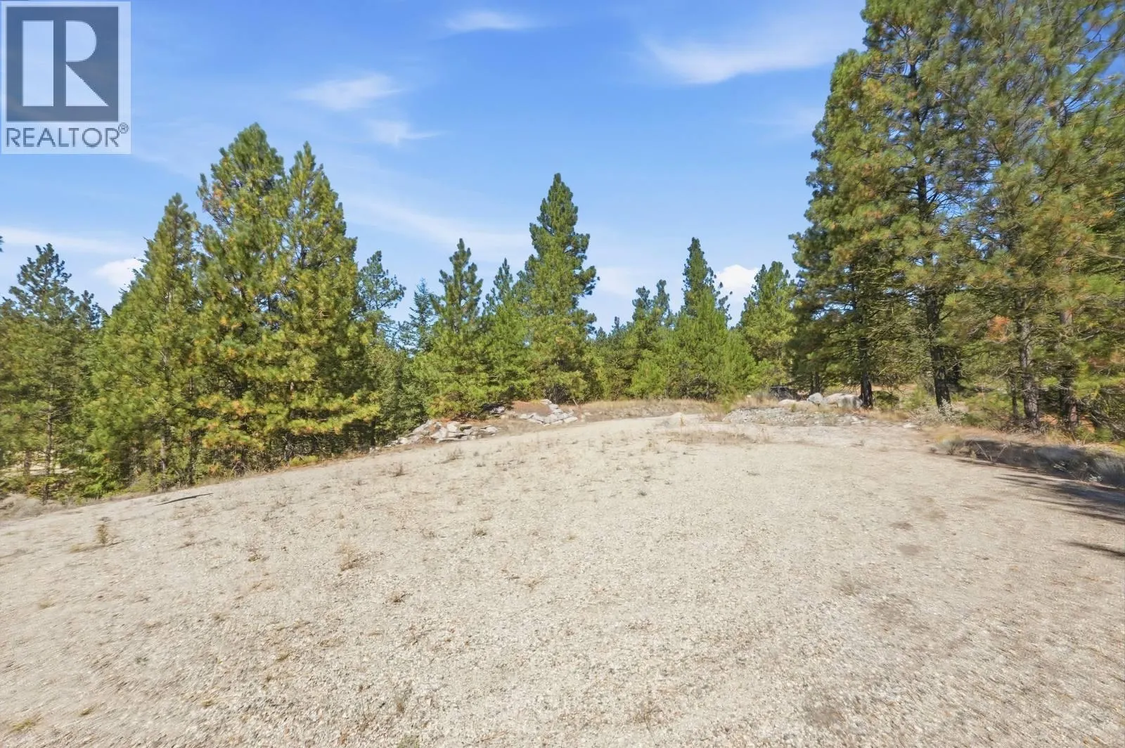 12 MULE DEER Point