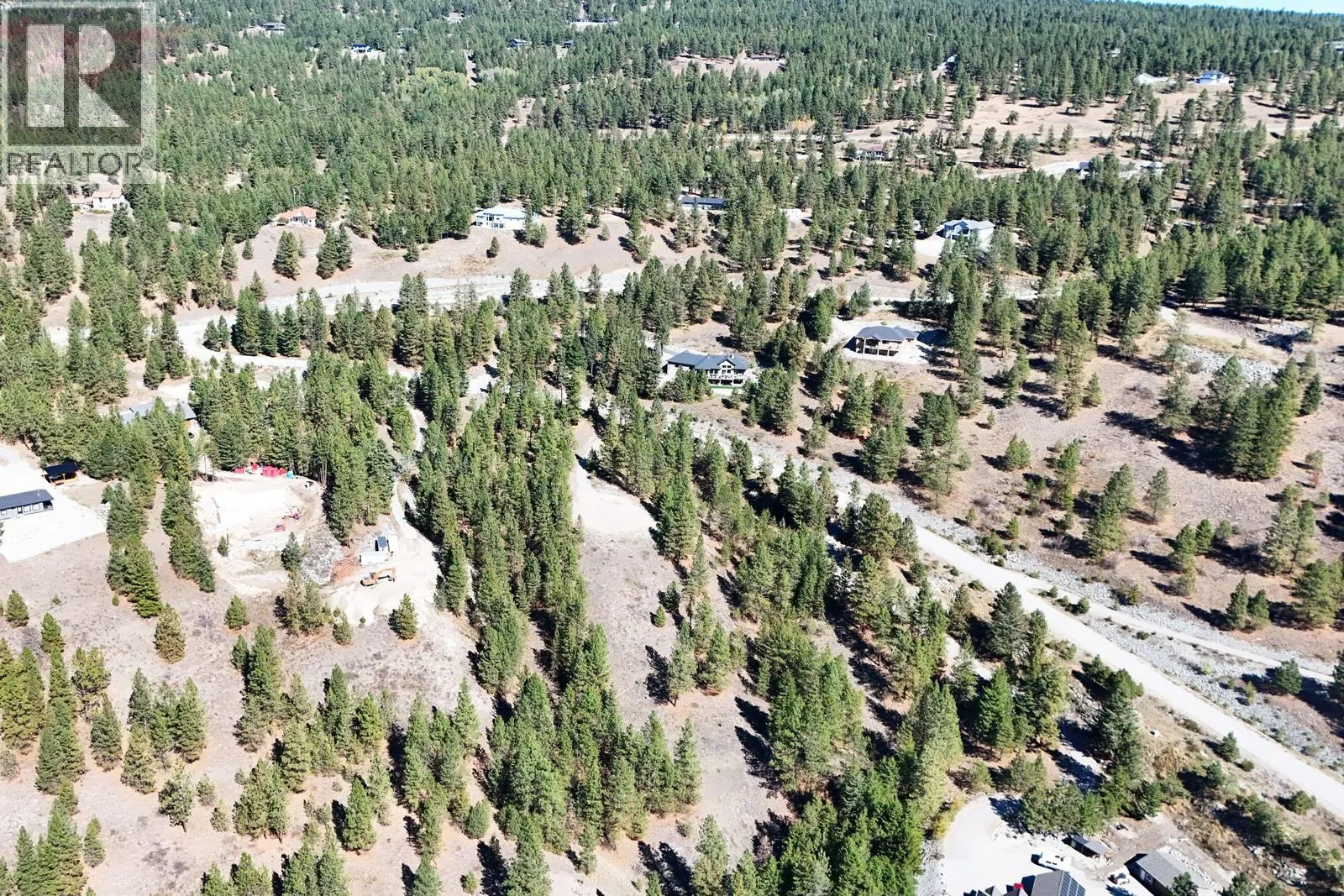 12 MULE DEER Point