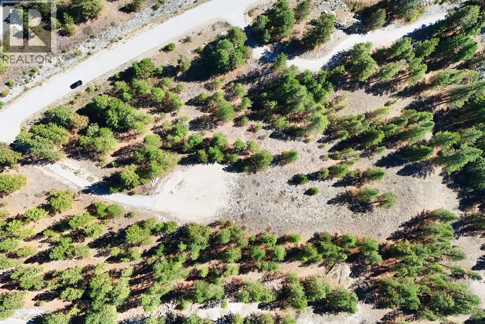 12 MULE DEER Point