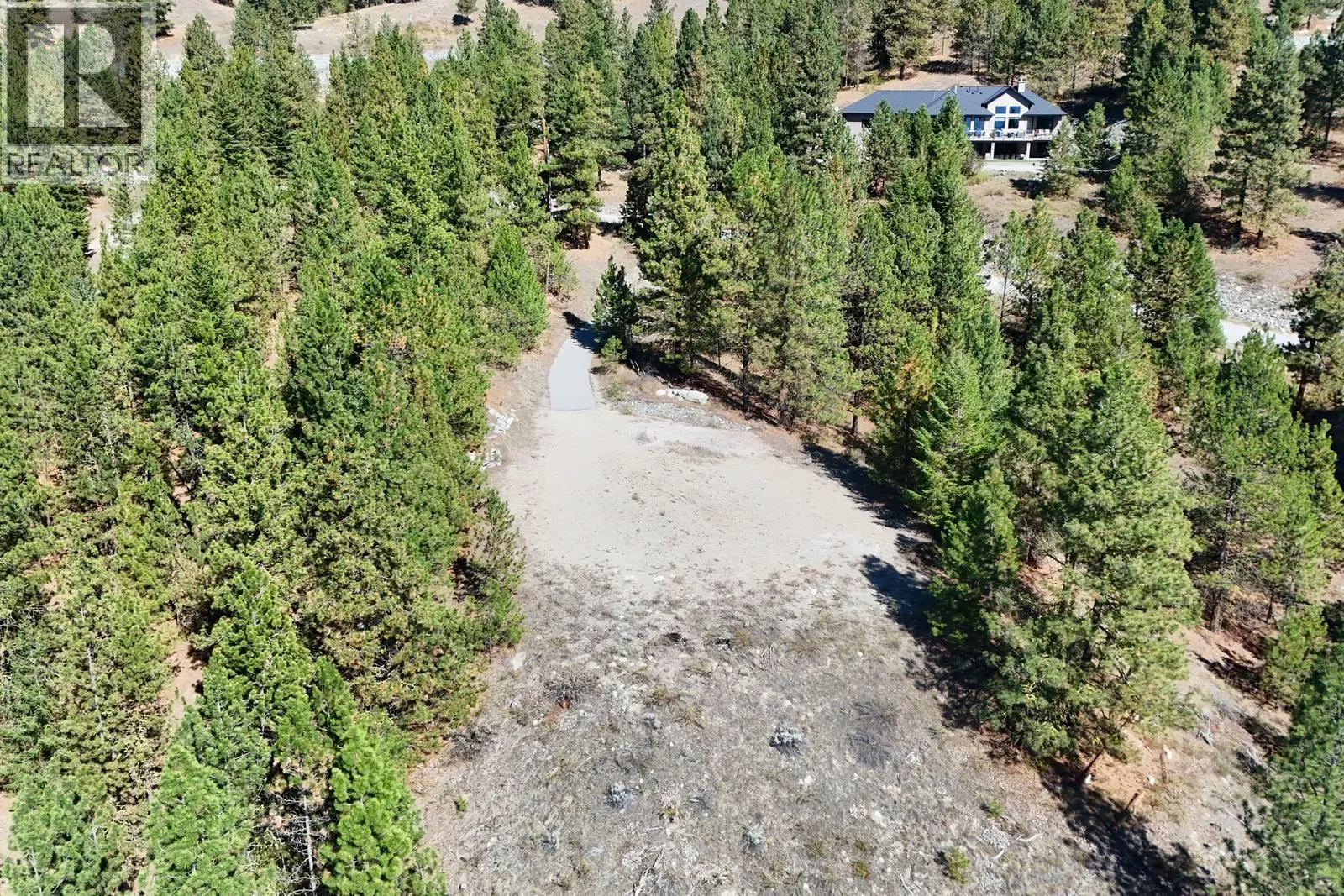 12 MULE DEER Point