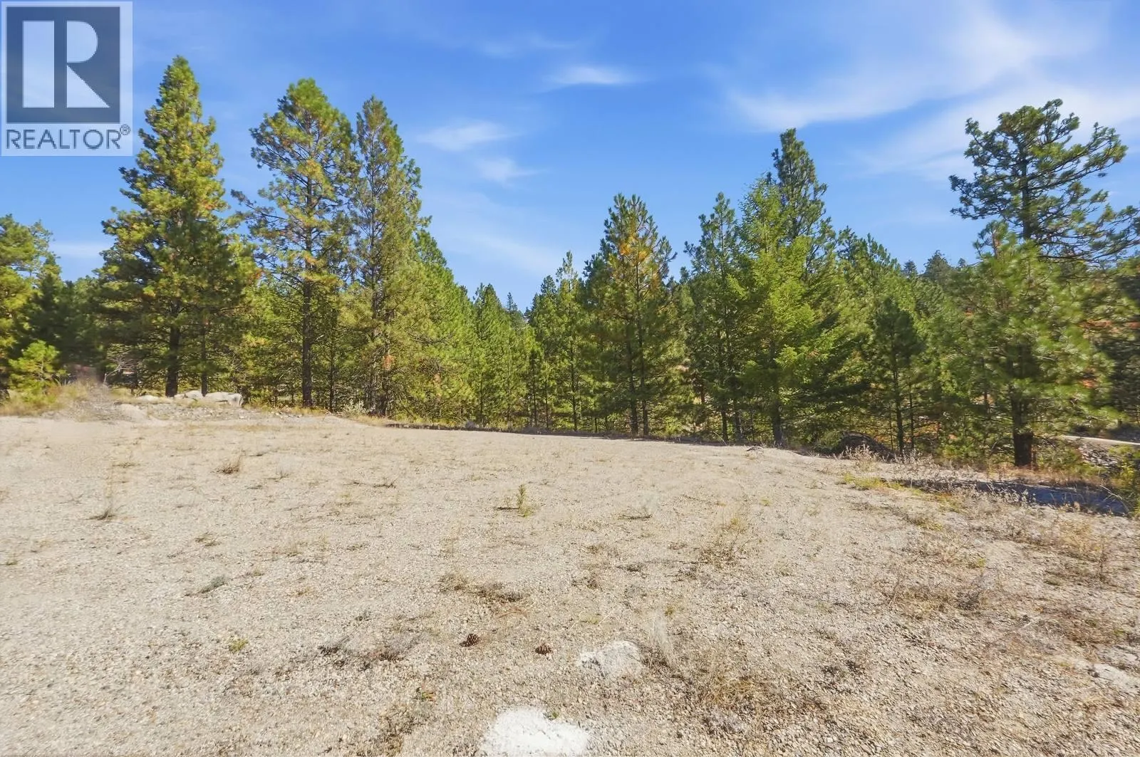 12 MULE DEER Point