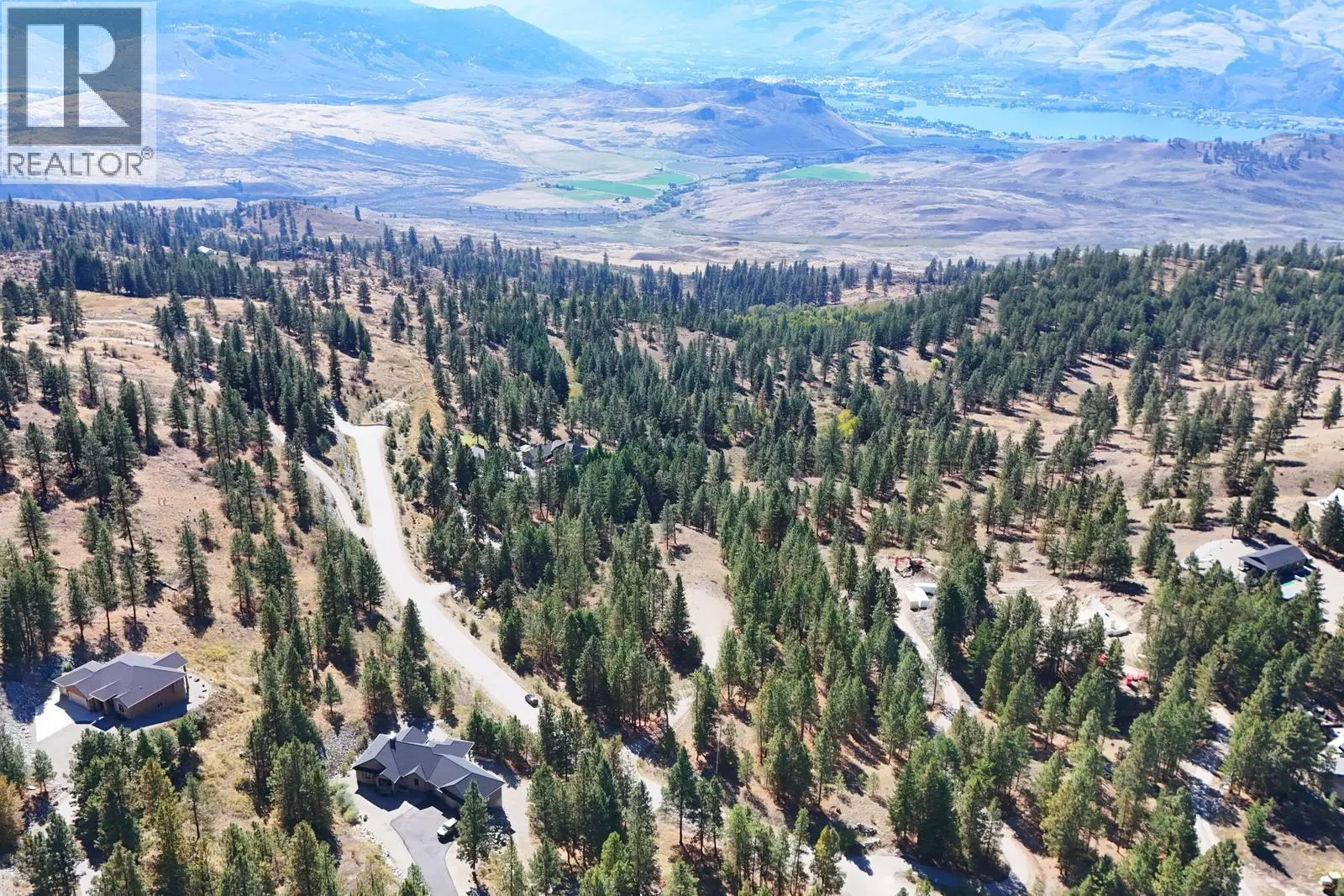 12 MULE DEER Point