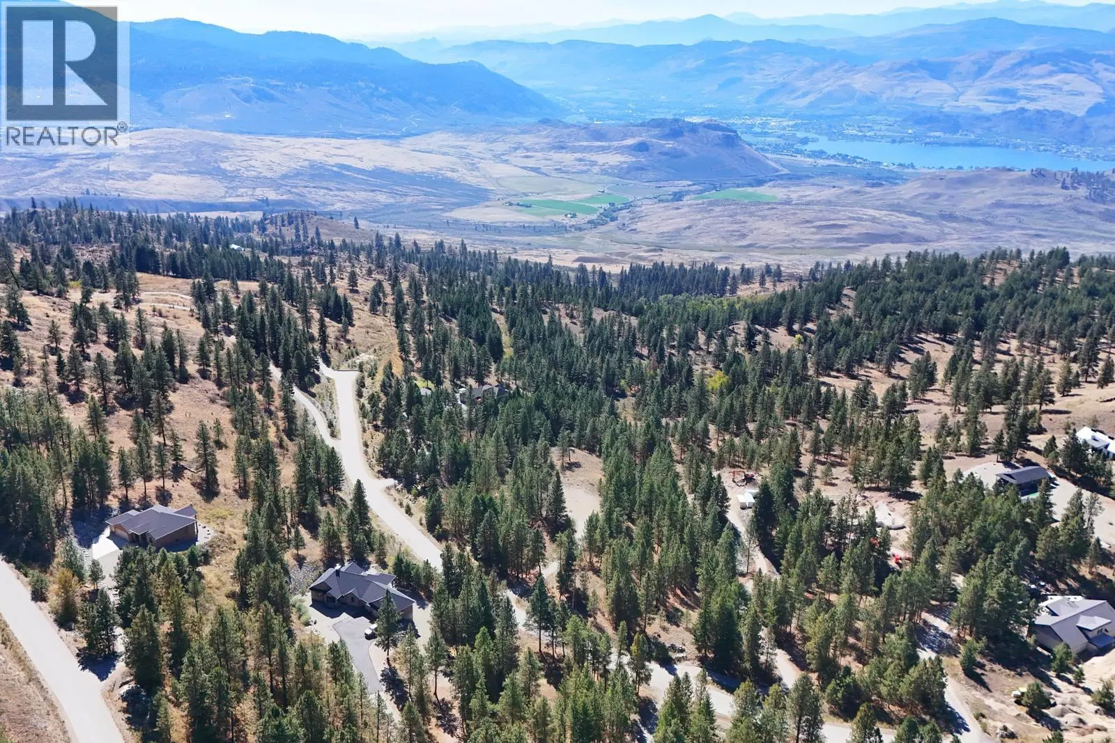 12 MULE DEER Point