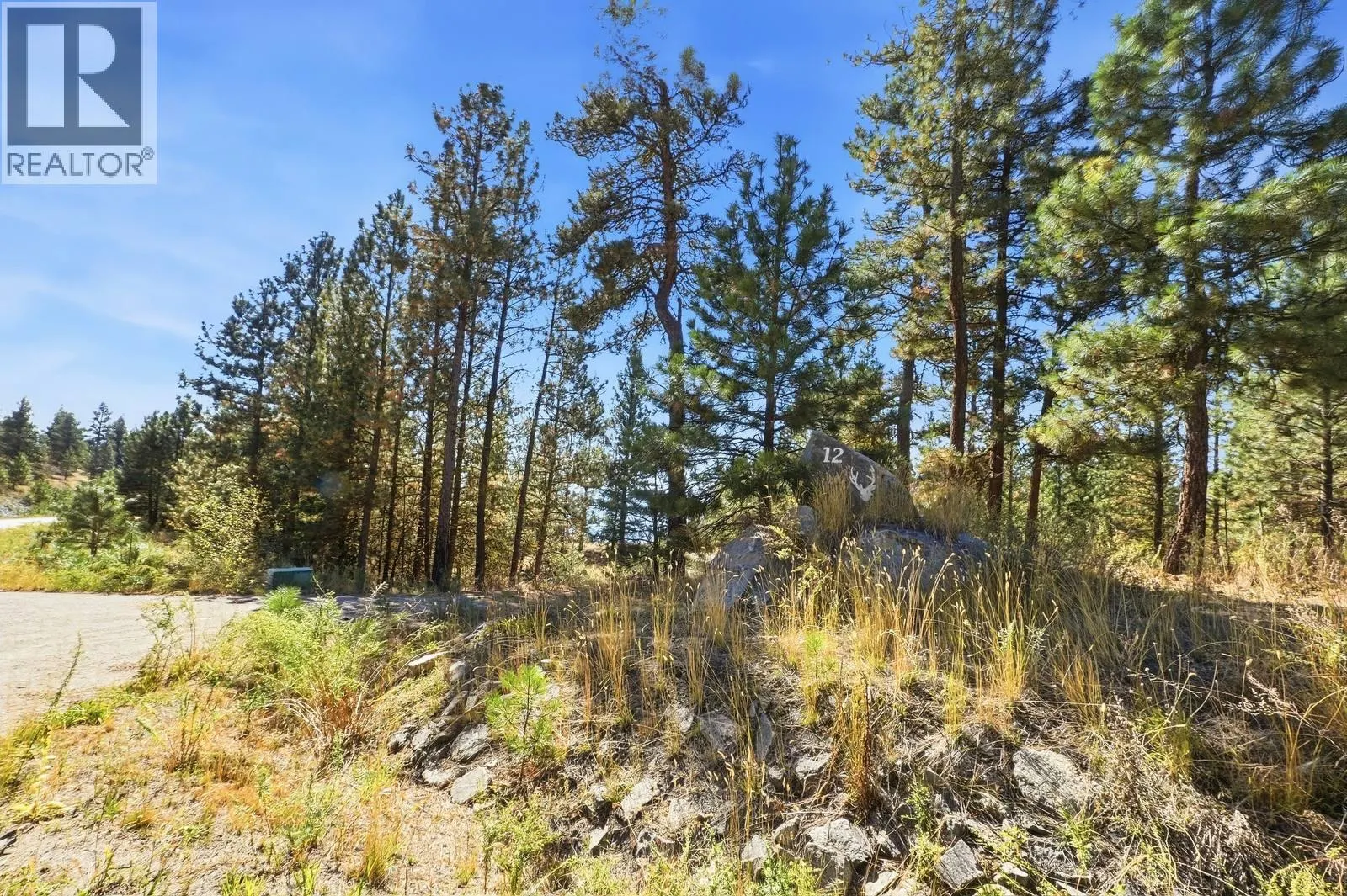 12 MULE DEER Point