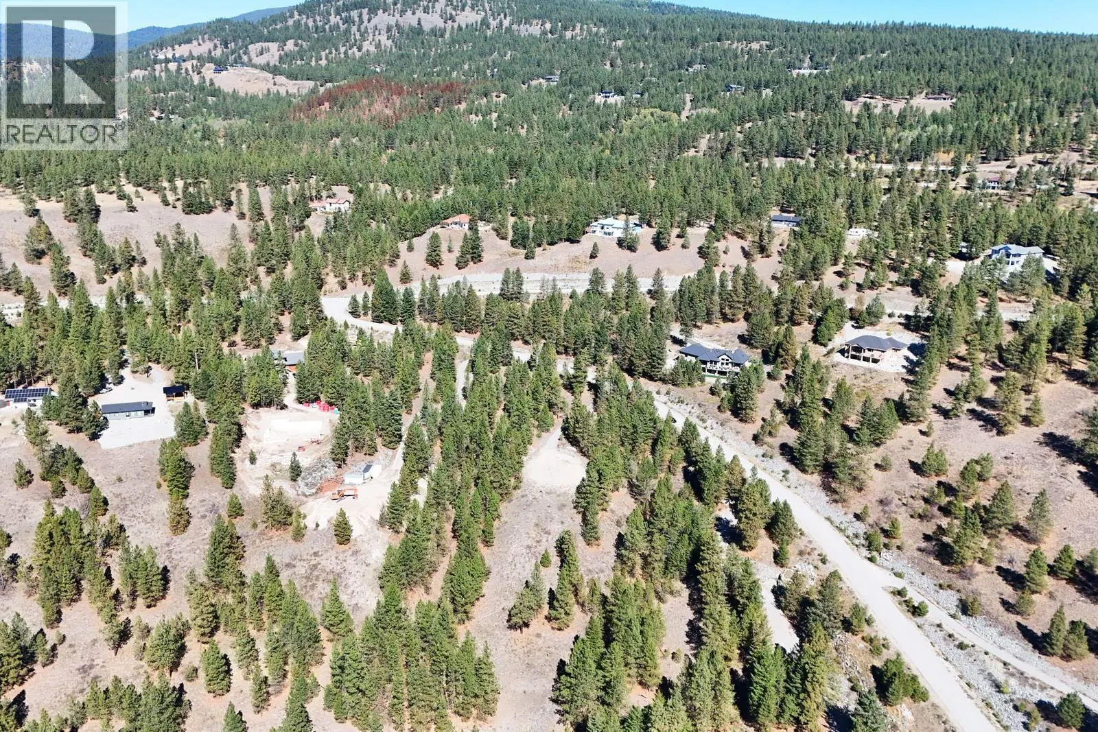 12 MULE DEER Point