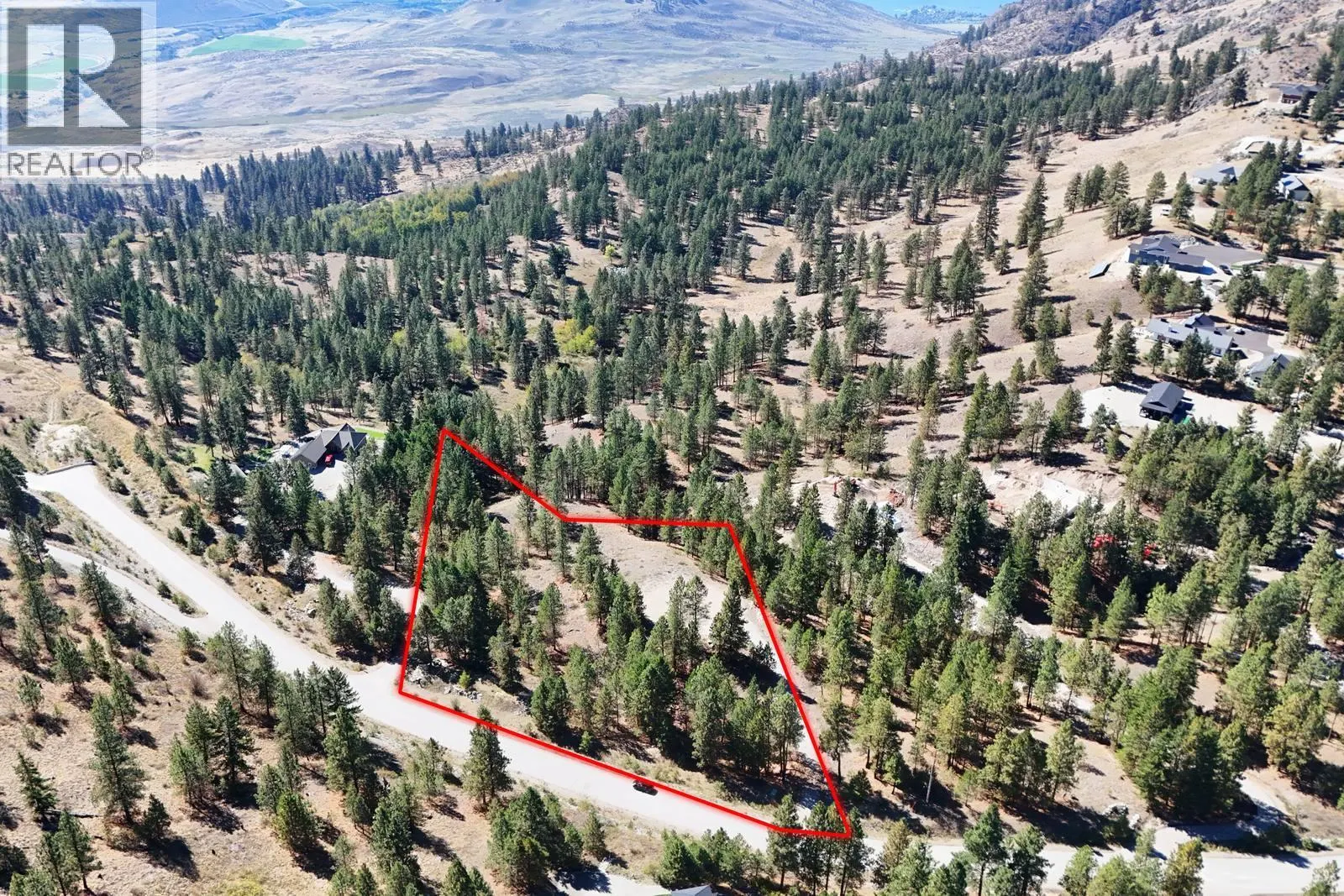 12 MULE DEER Point
