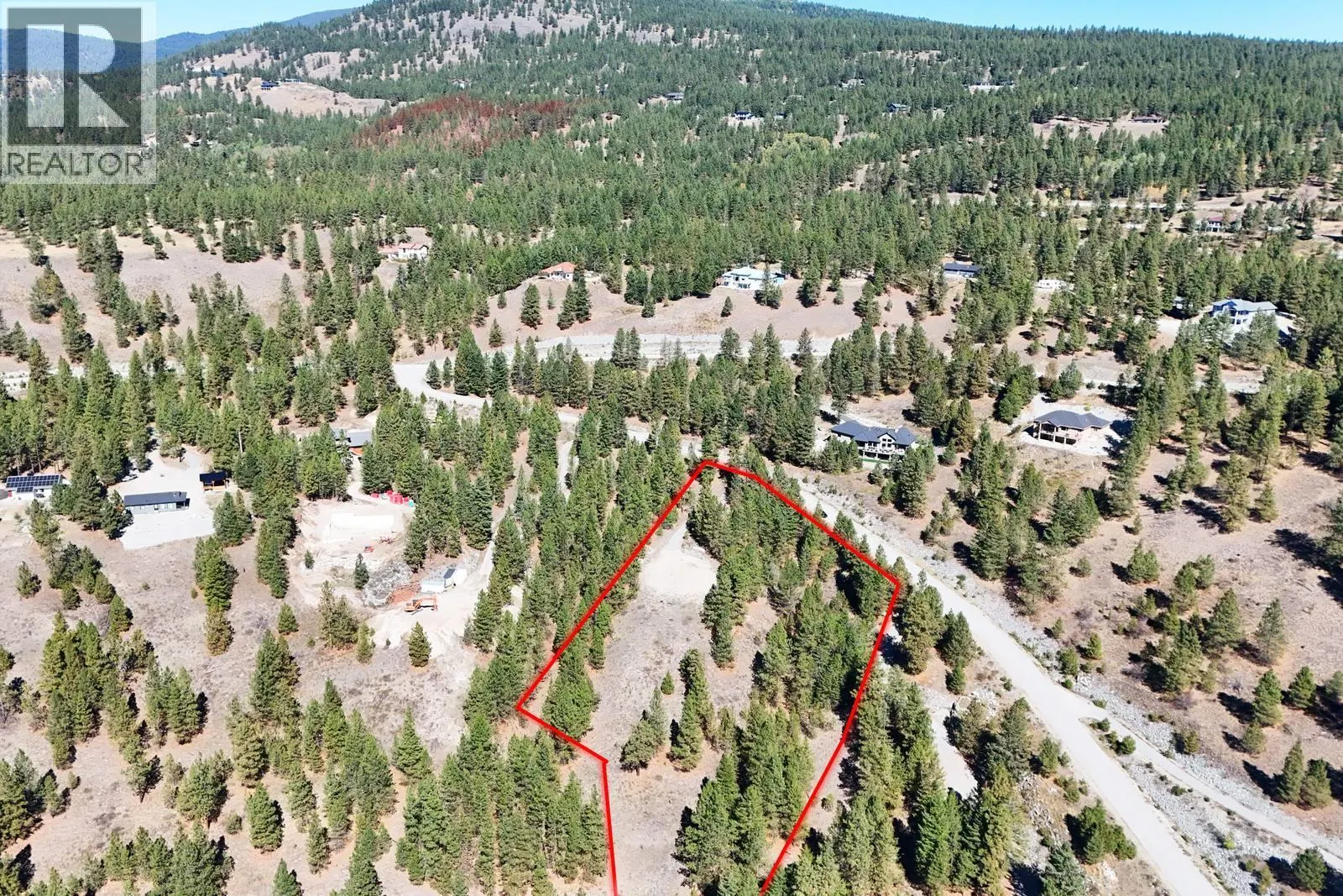 12 MULE DEER Point