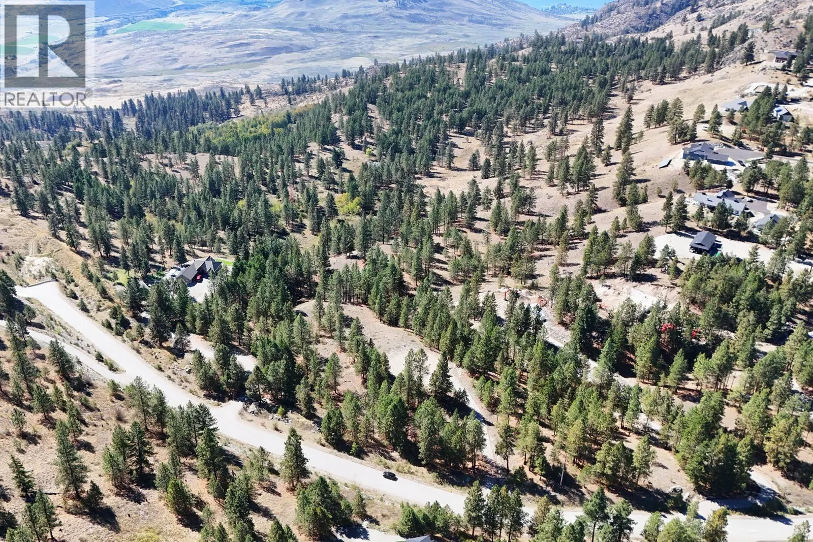 12 MULE DEER Point