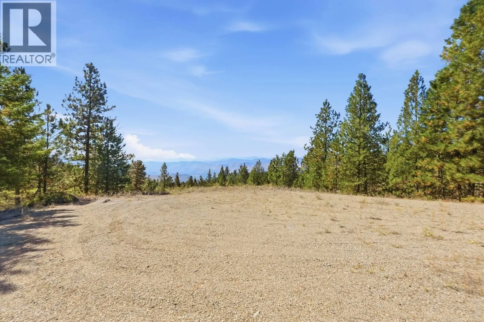 12 MULE DEER Point