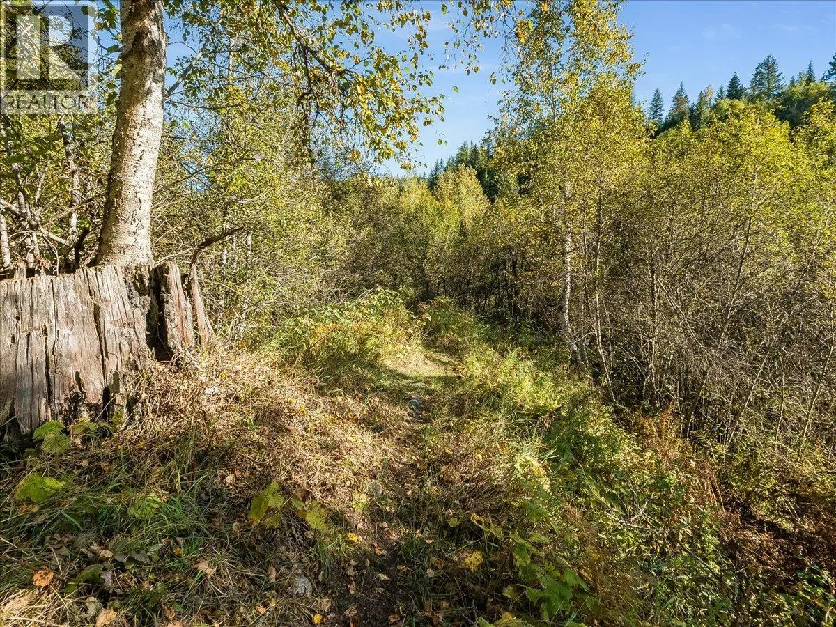 3168 Pass Creek Road