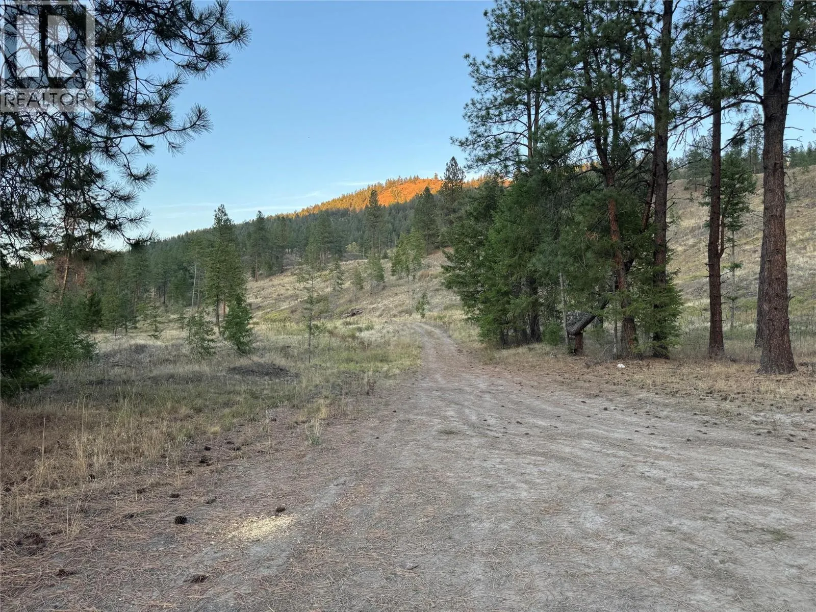 DL 1402S Kettle River E Road