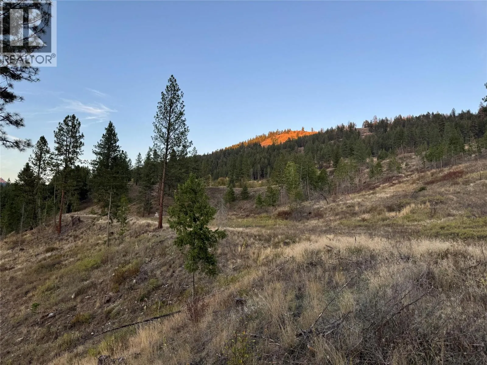 DL 1402S Kettle River E Road