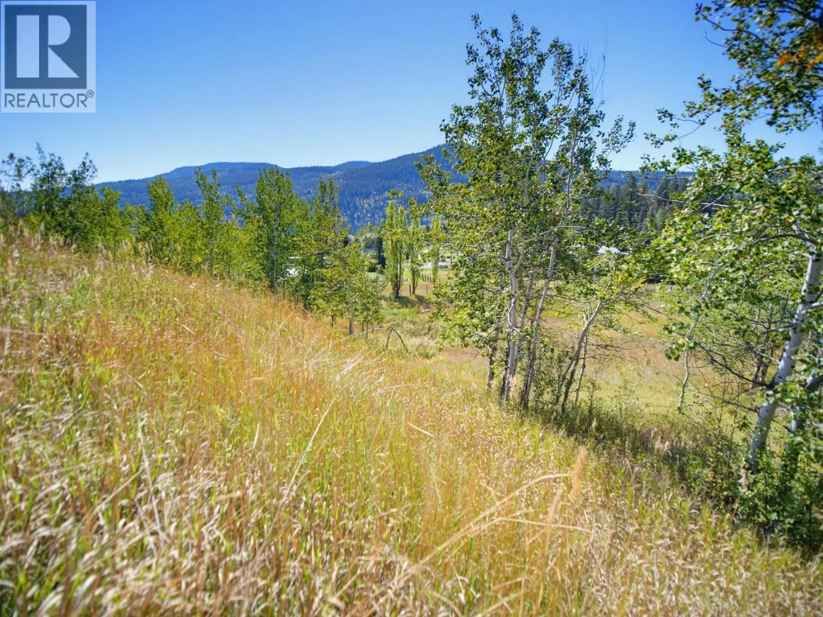 PINANTAN PRITCHARD Road Lot# PARCEL A