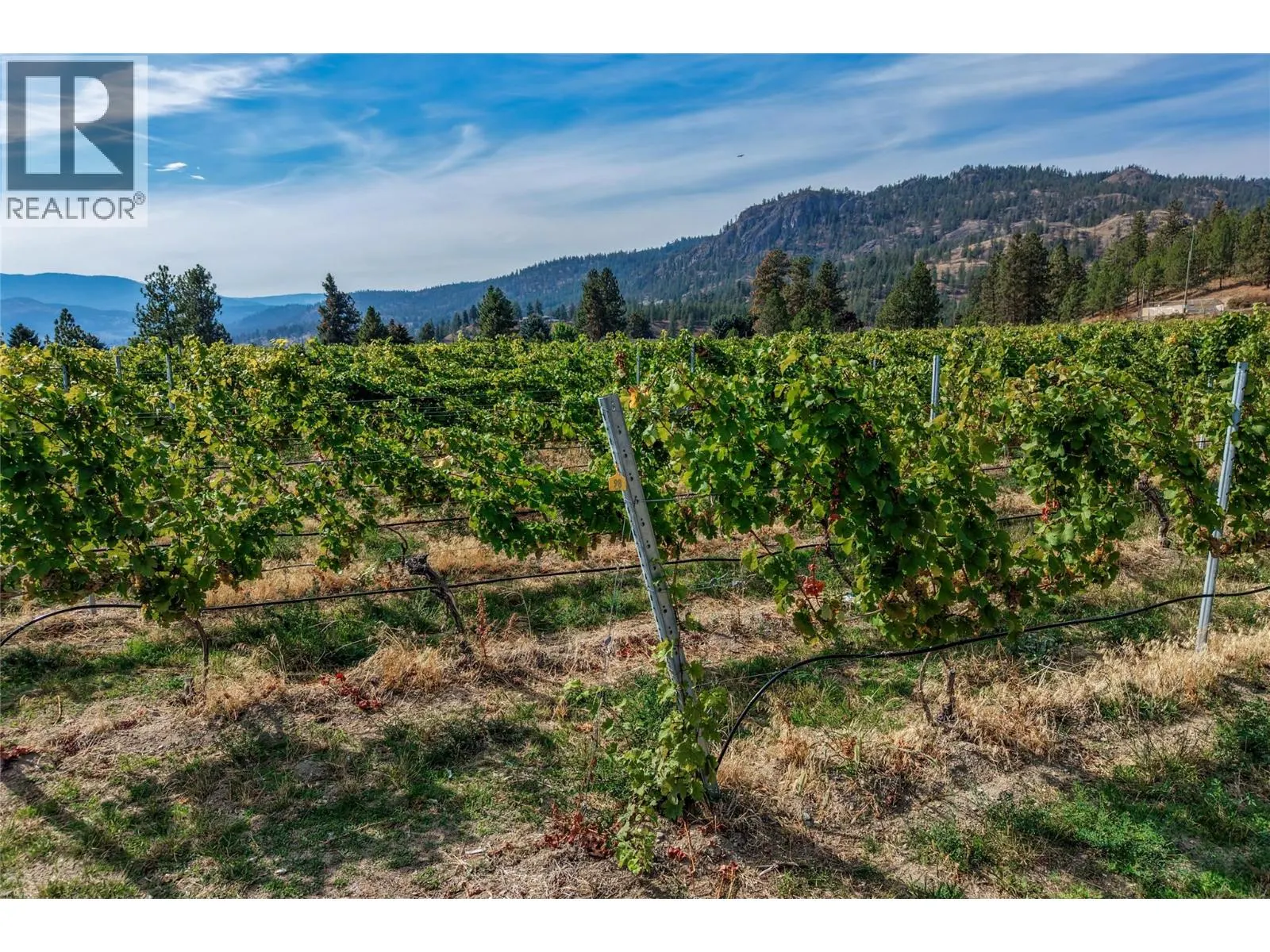 5355 Trepanier Bench Road