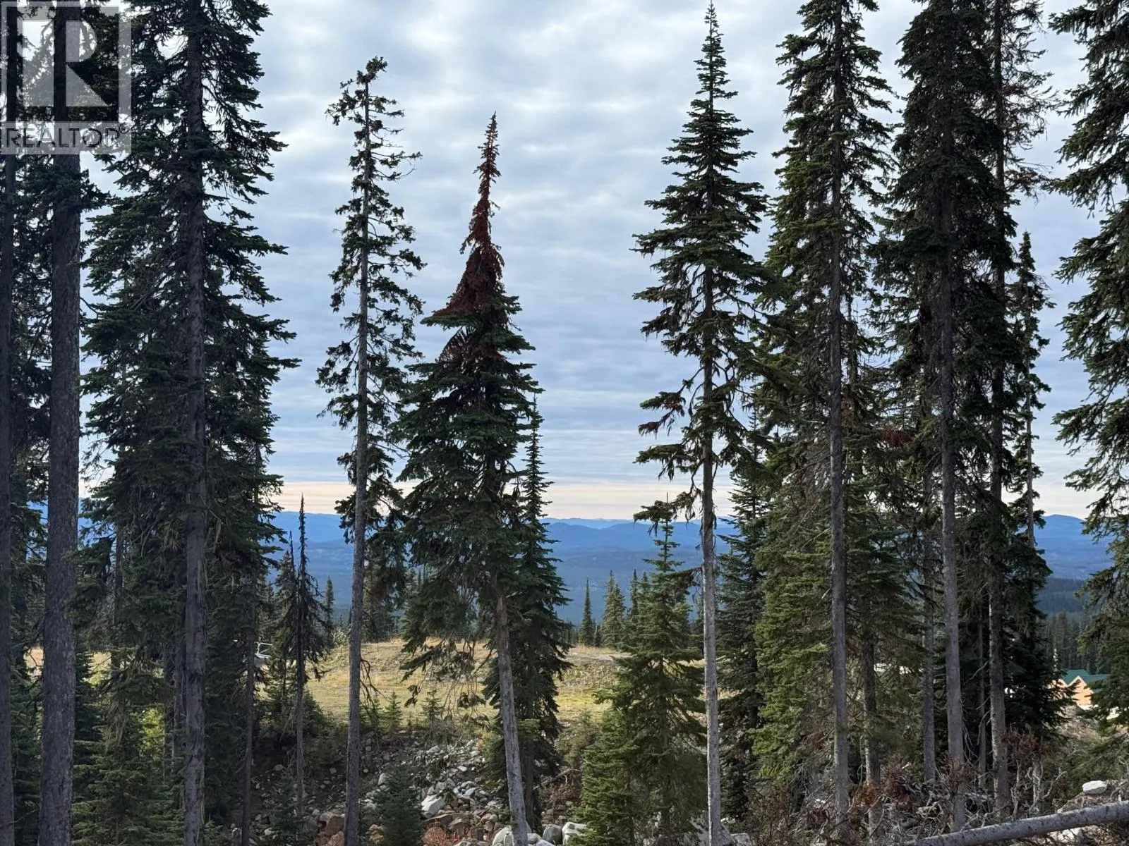 Black Forest Way Lot# 3