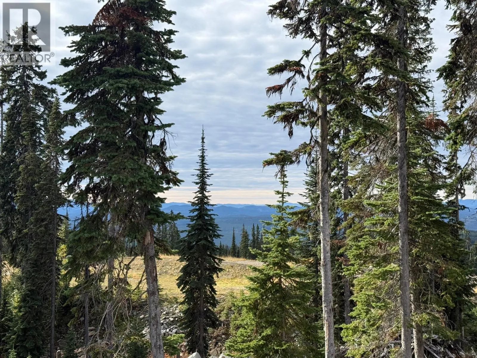 Black Forest Way Lot# 4