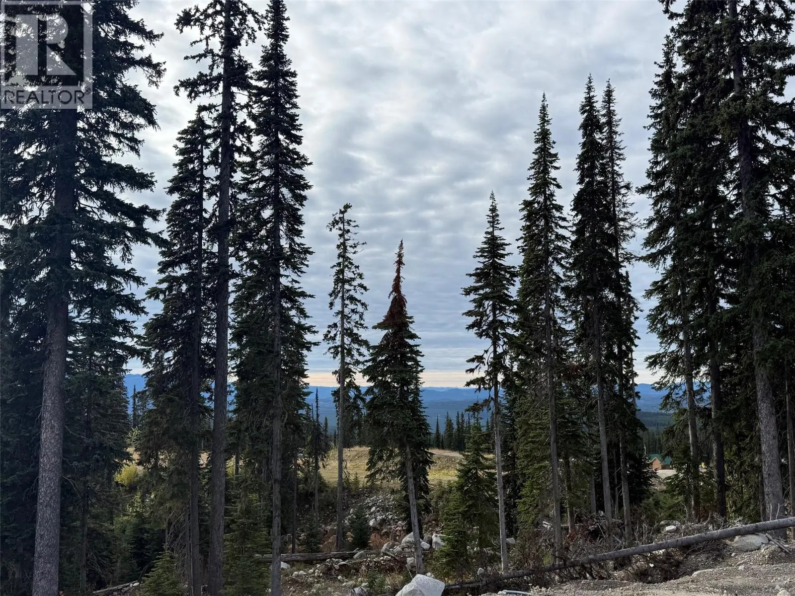 Black Forest Way Lot# 4