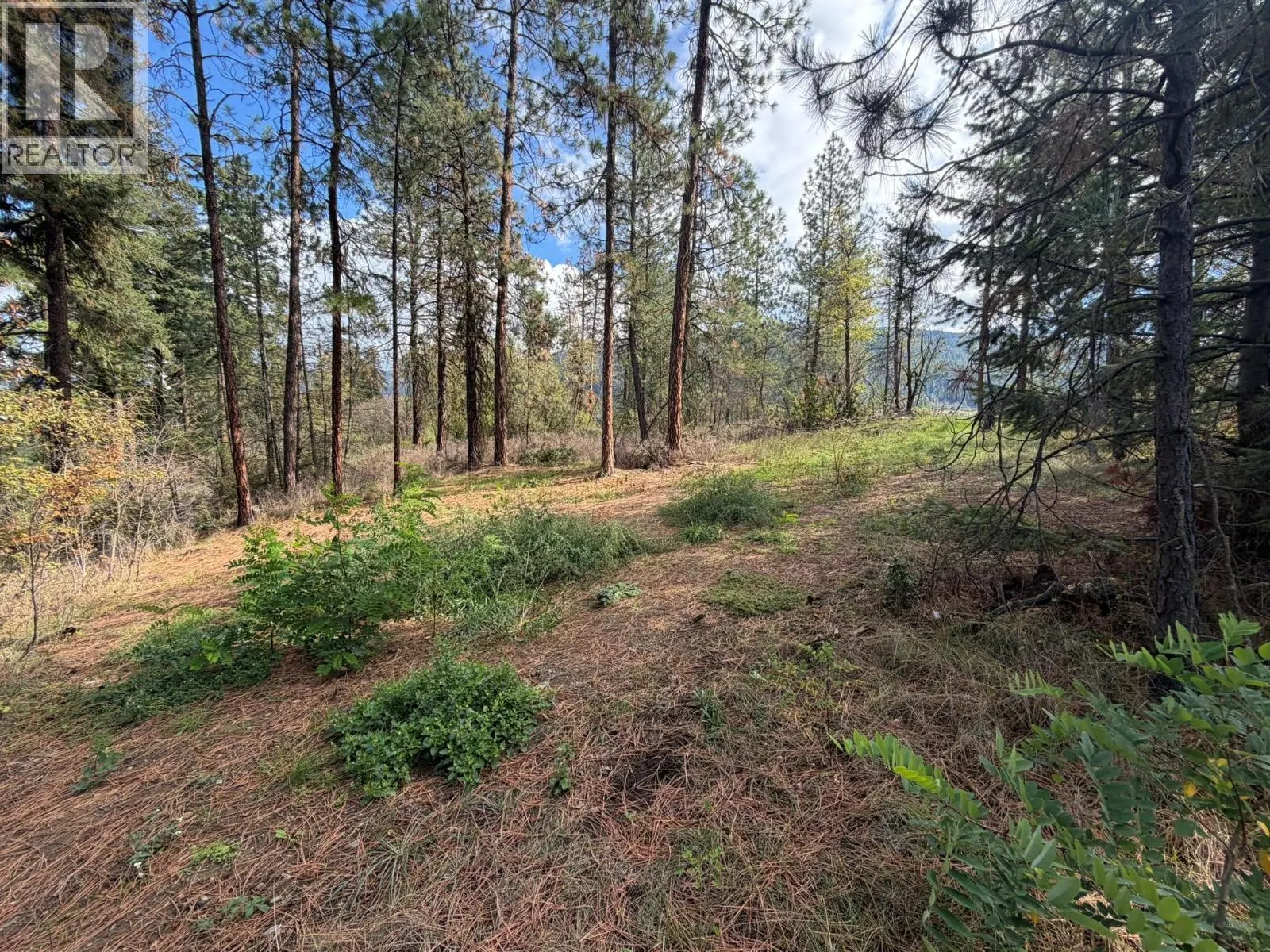 5440 Silver Star Road