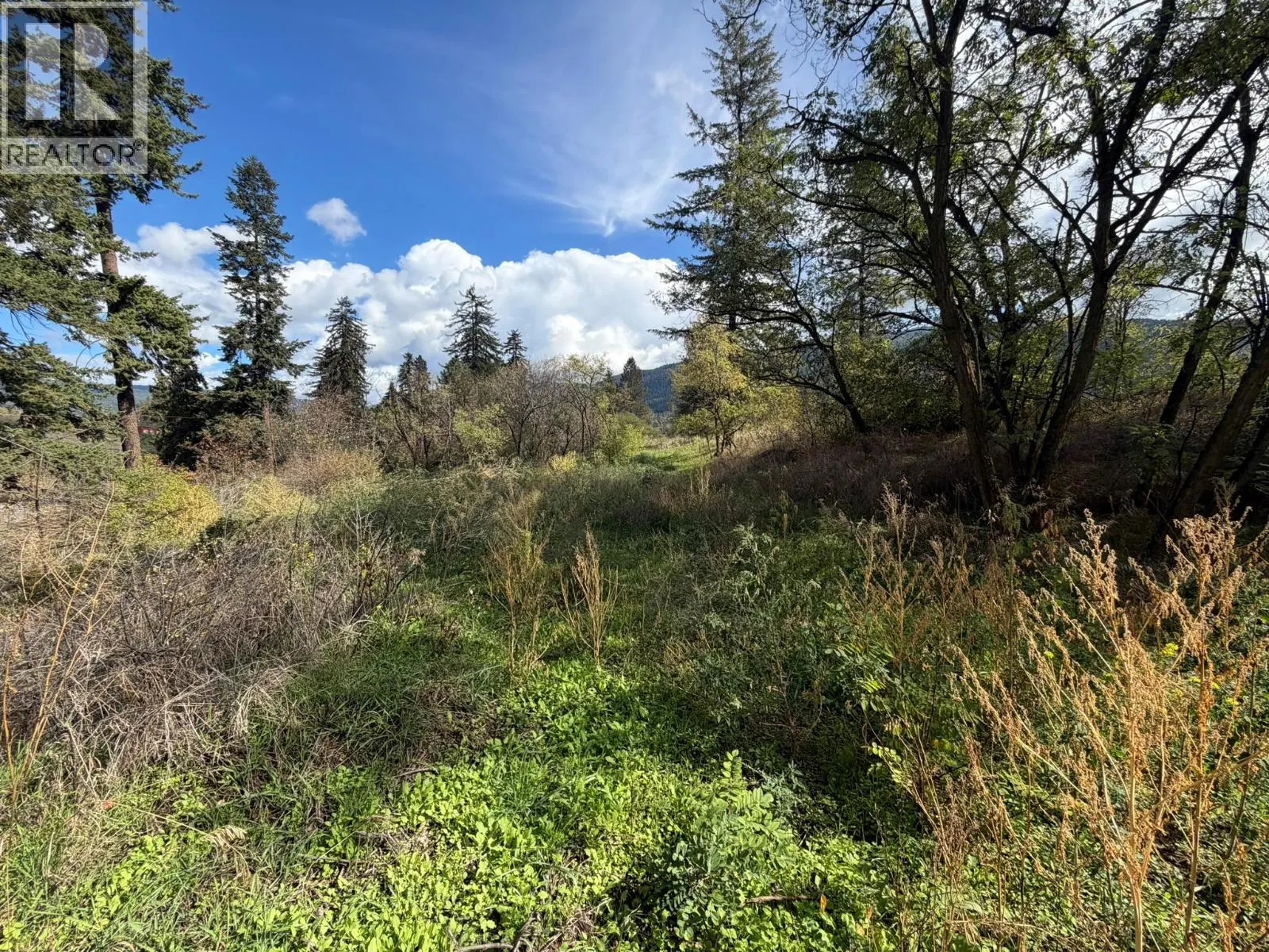 5440 Silver Star Road