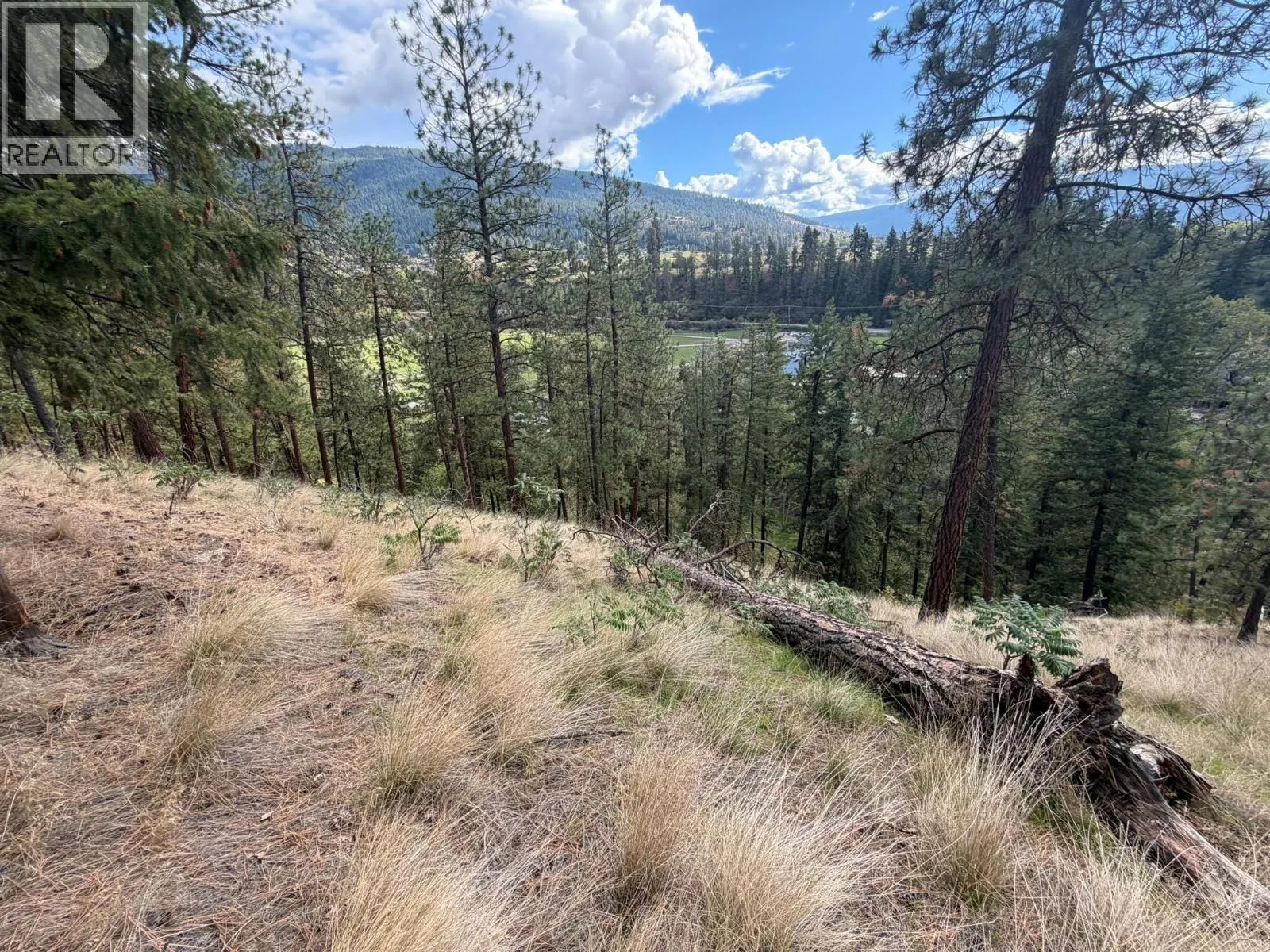 5440 Silver Star Road