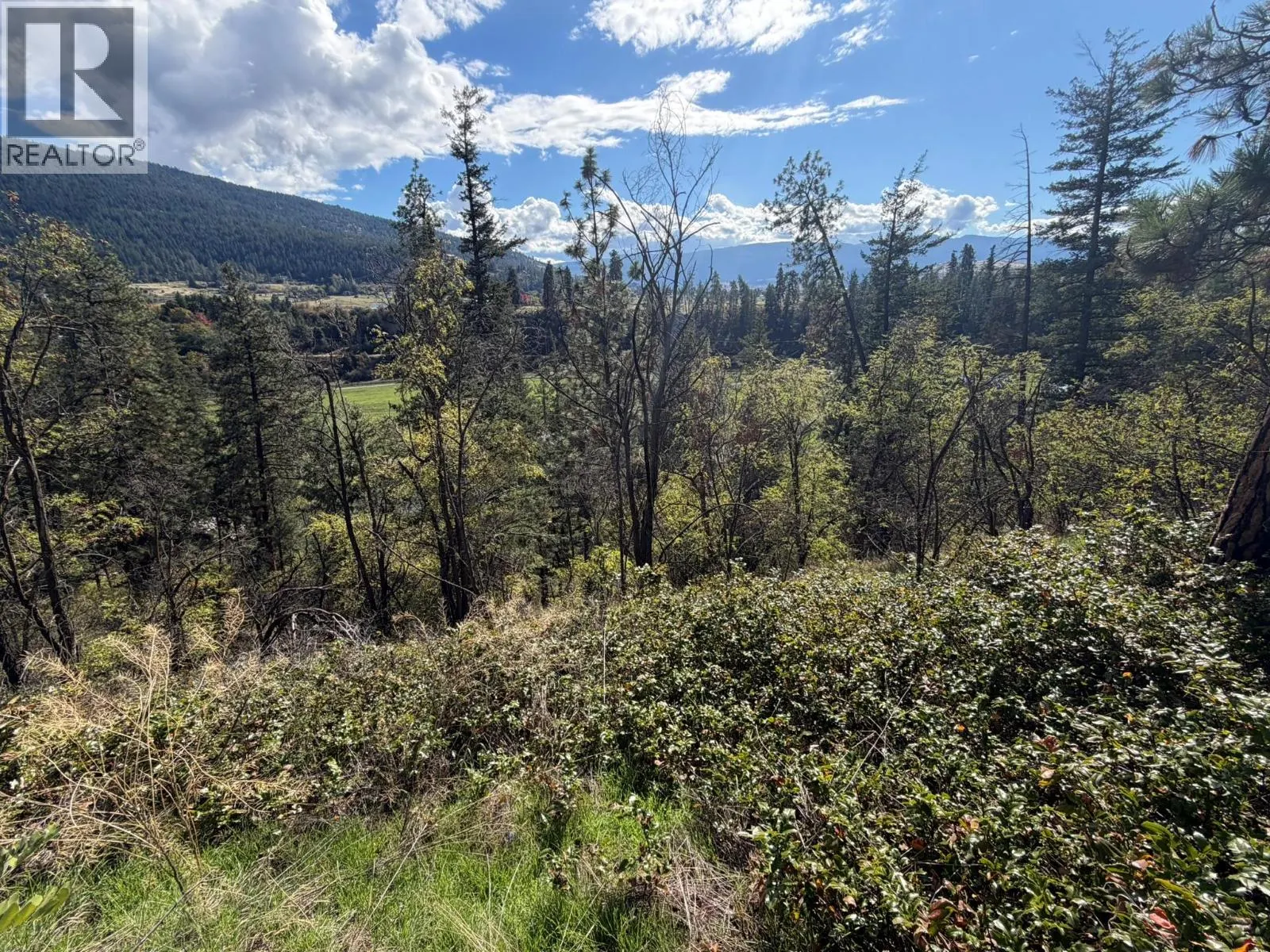 5440 Silver Star Road