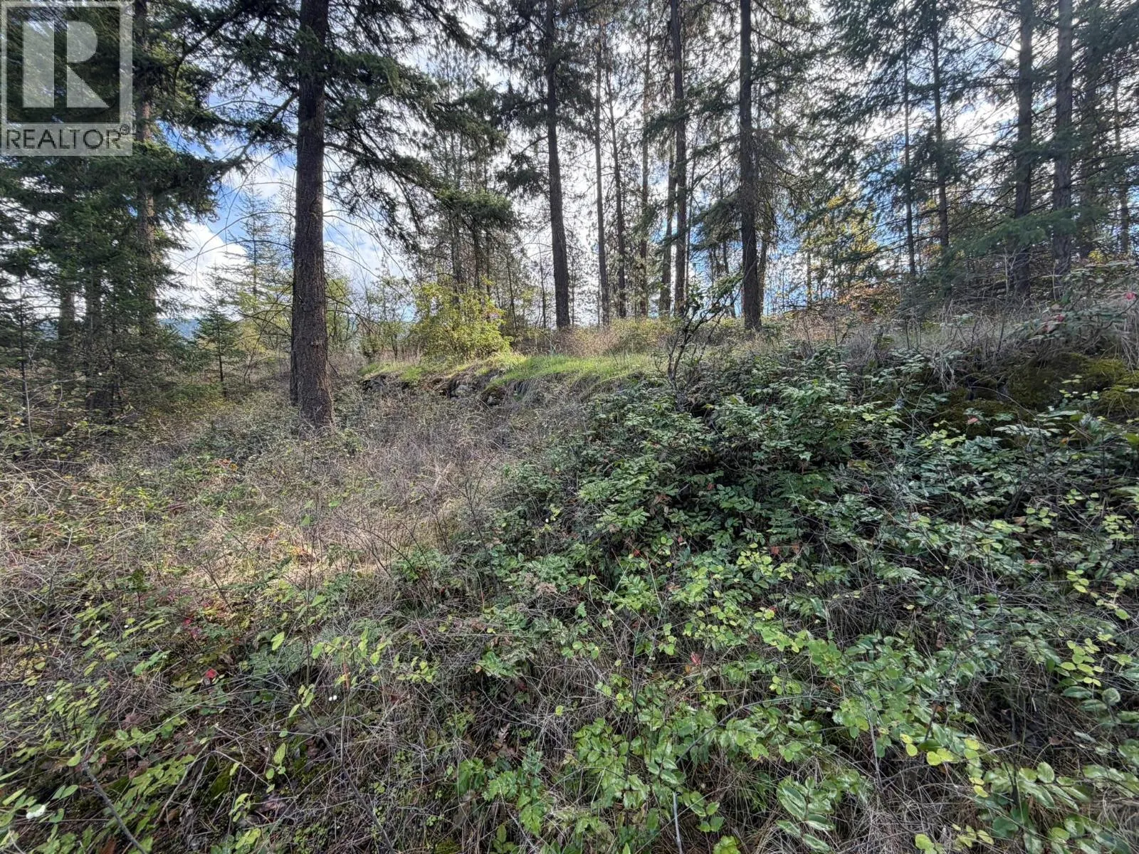 5440 Silver Star Road