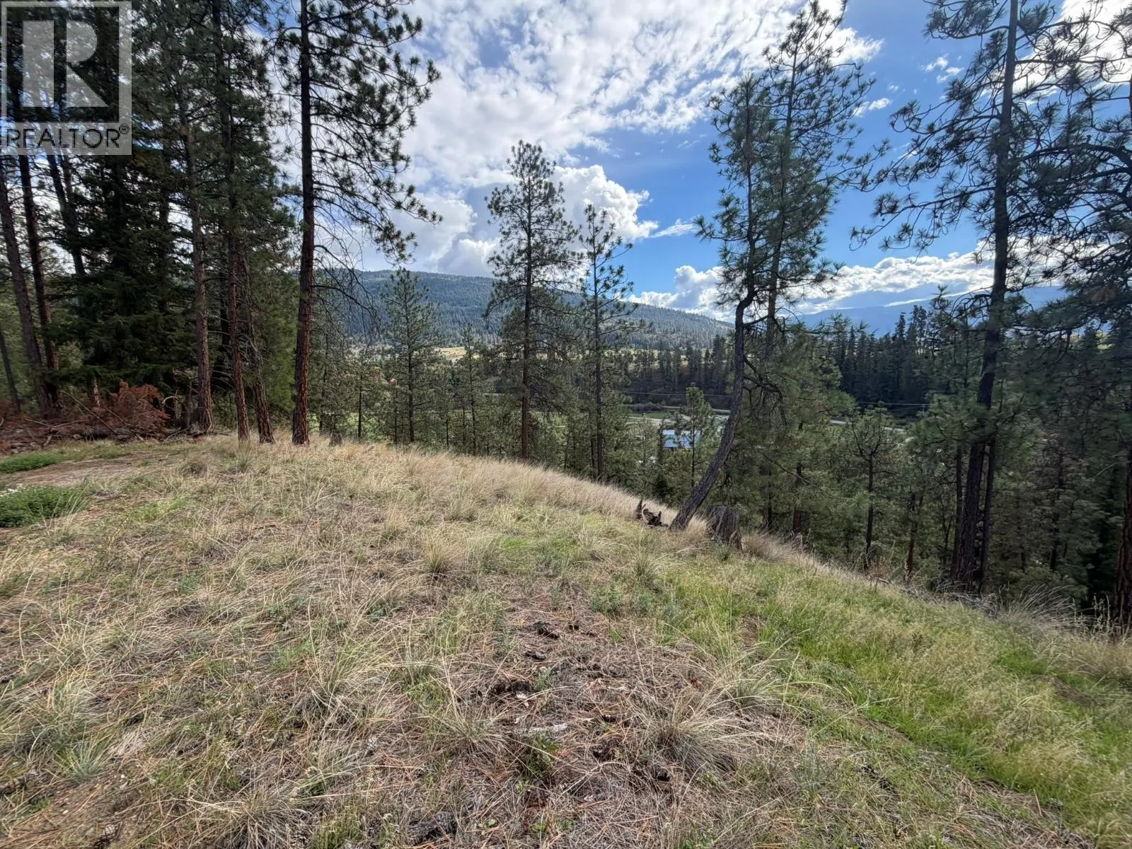 5440 Silver Star Road